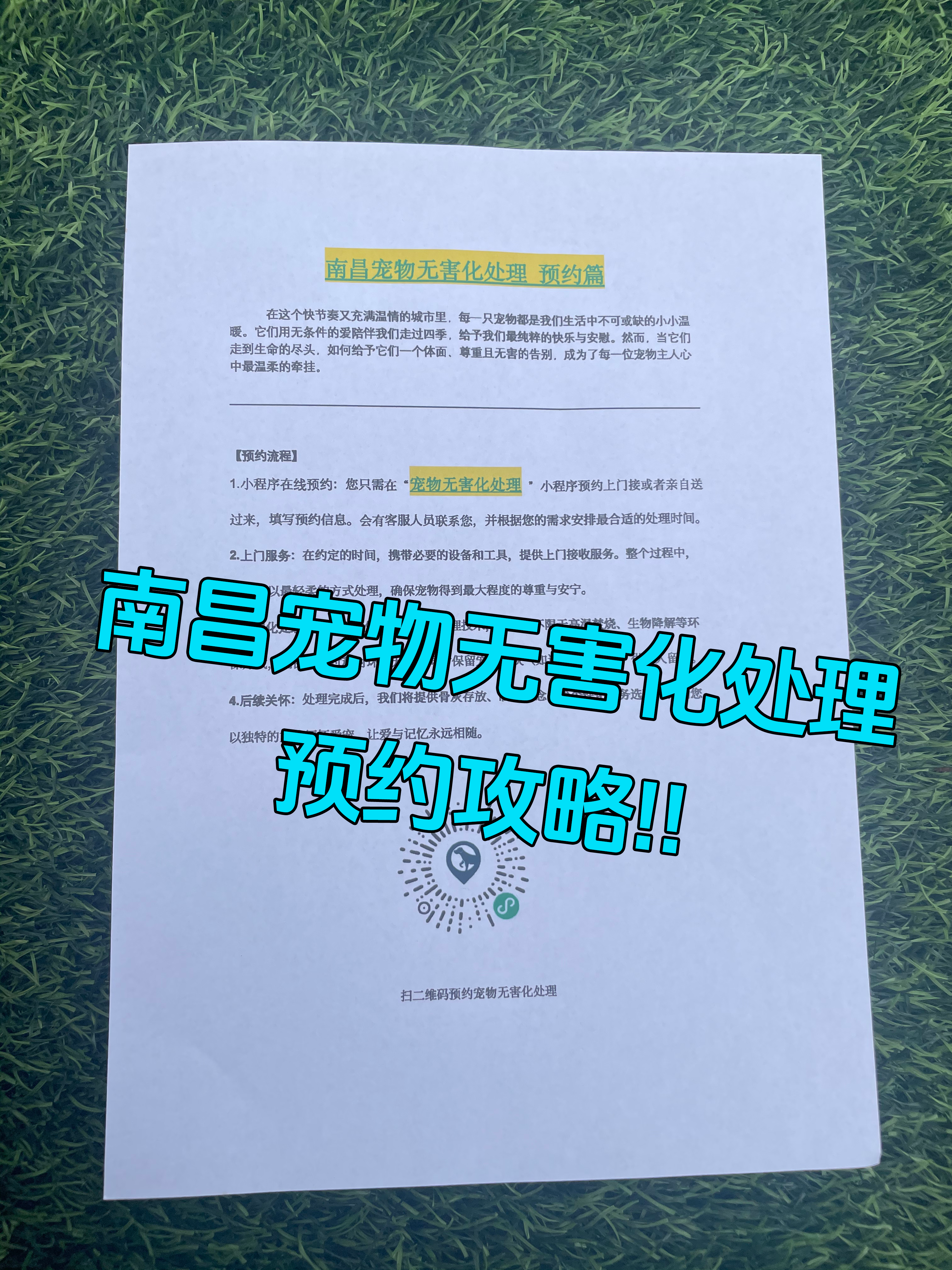 无为宠物告别