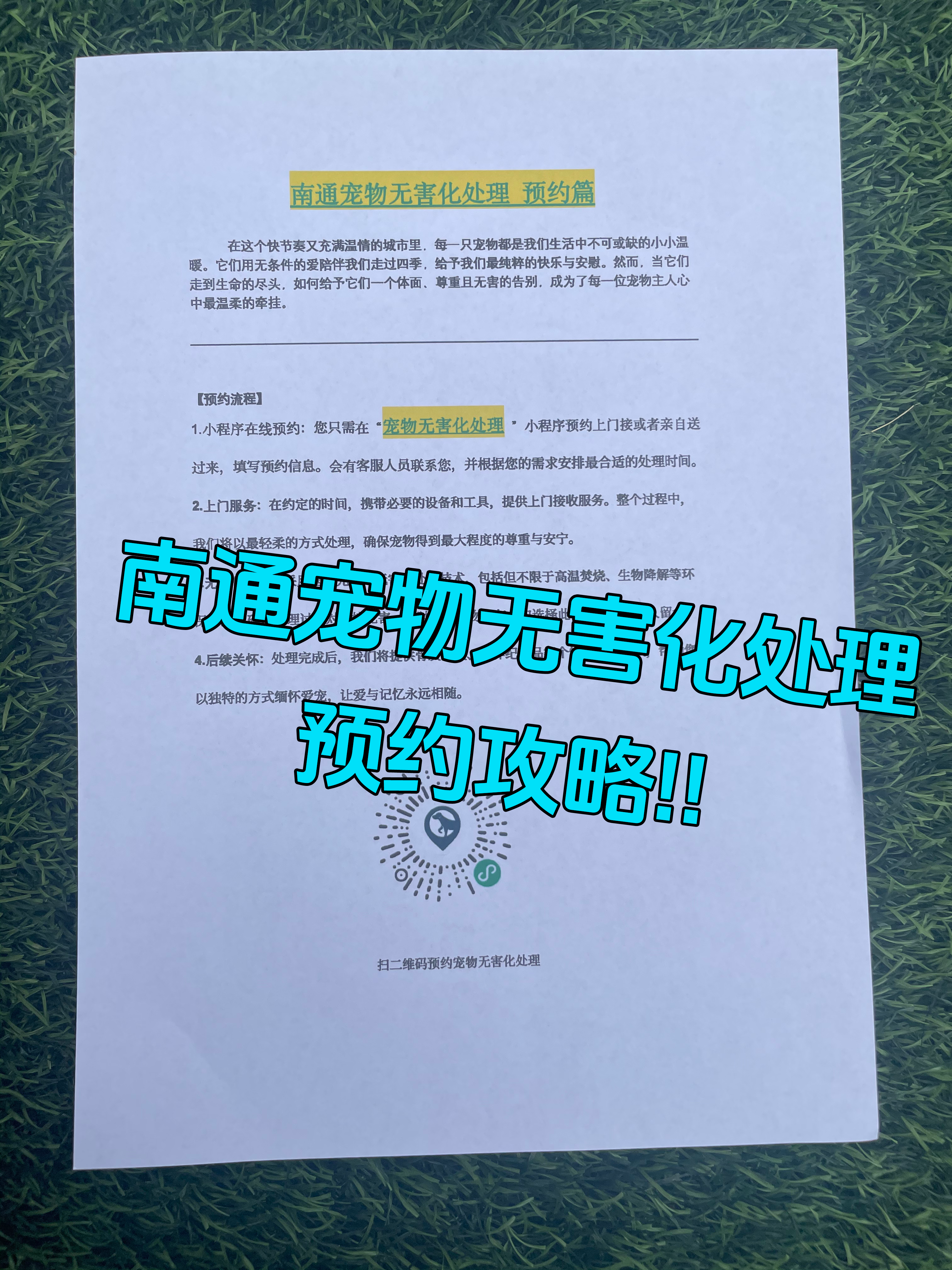 无为宠物无害化处理流程