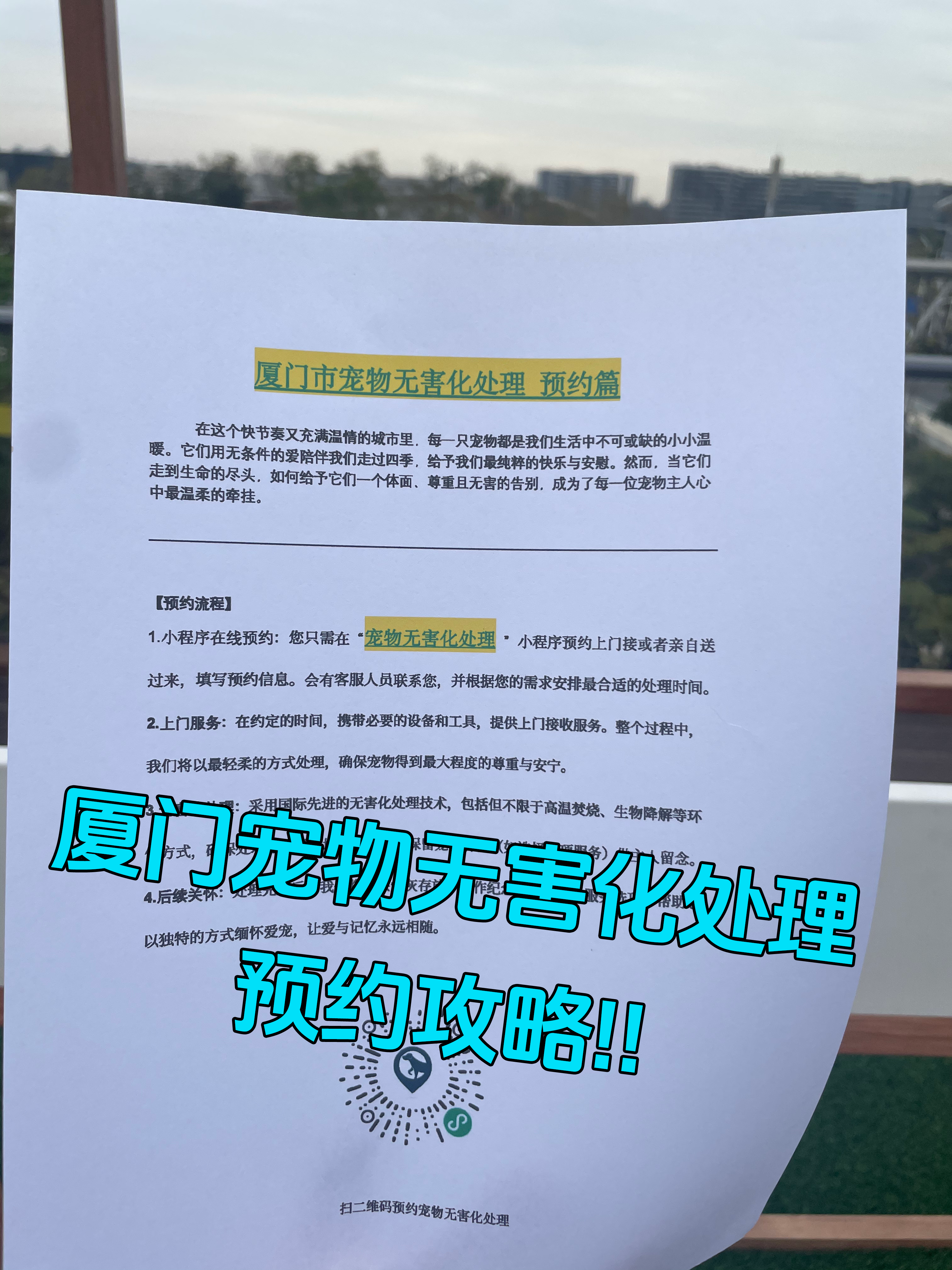 无为宠物接运服务