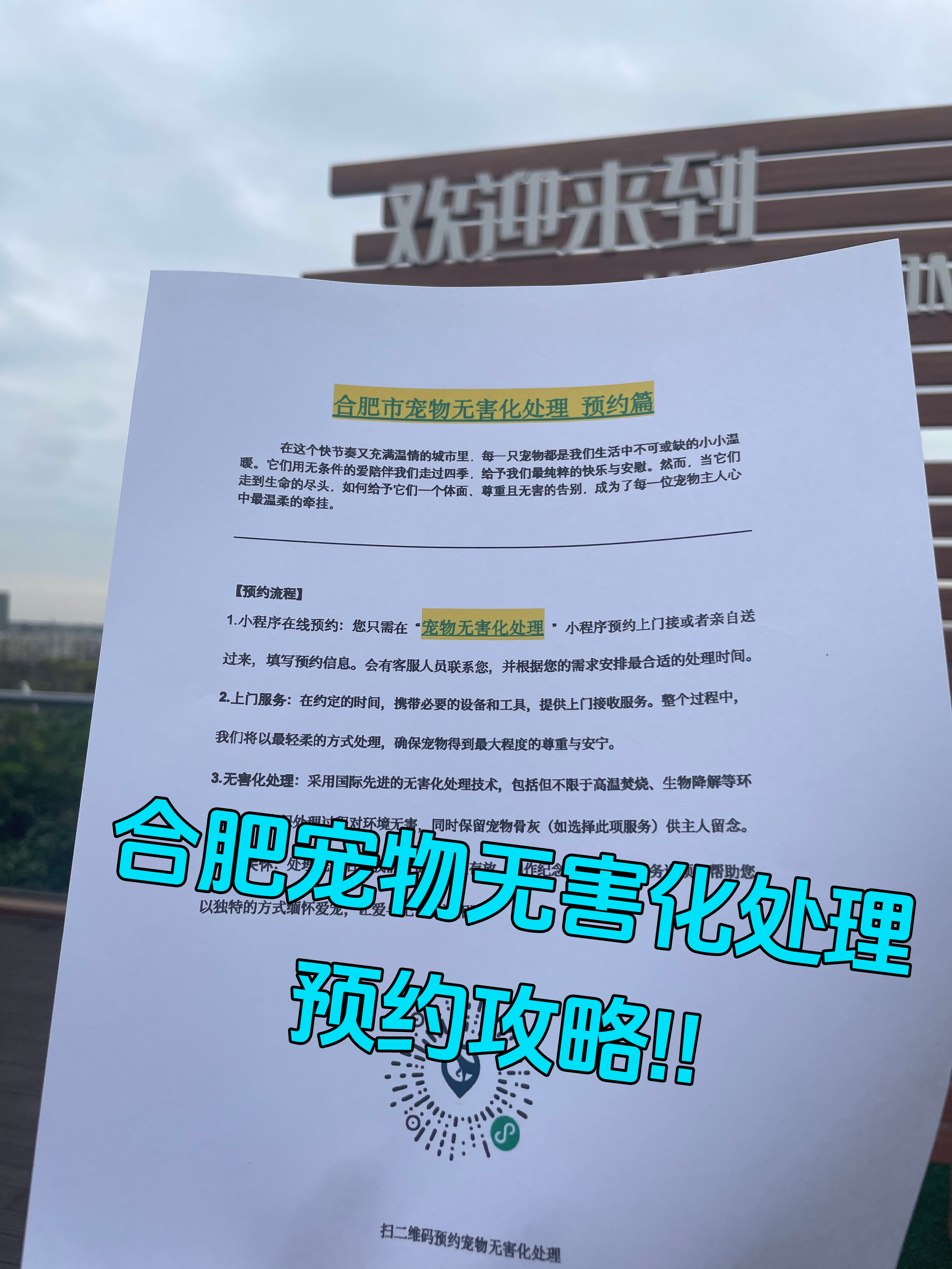 无为宠物骨灰安置