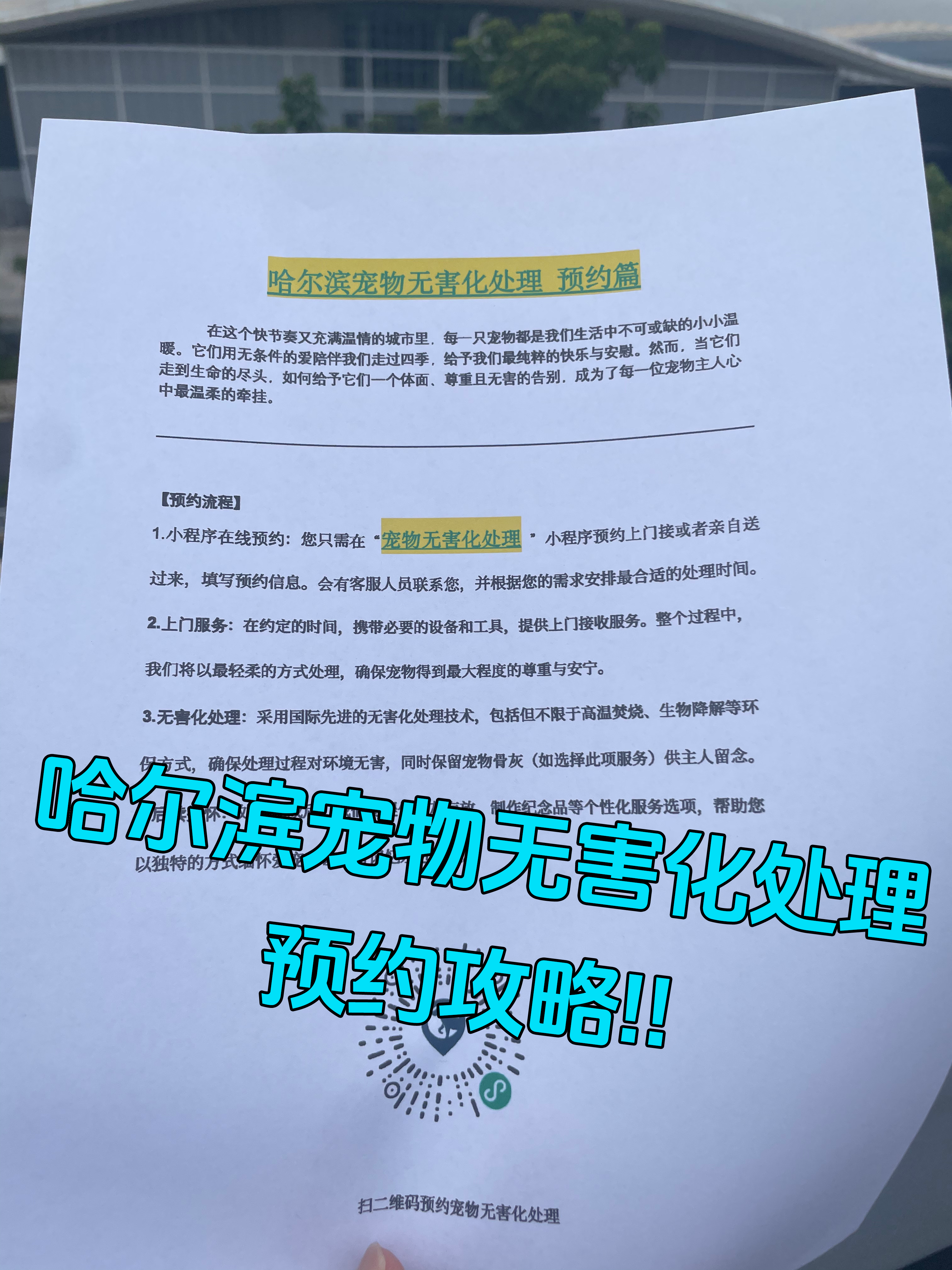 宣城宠物无害化处理