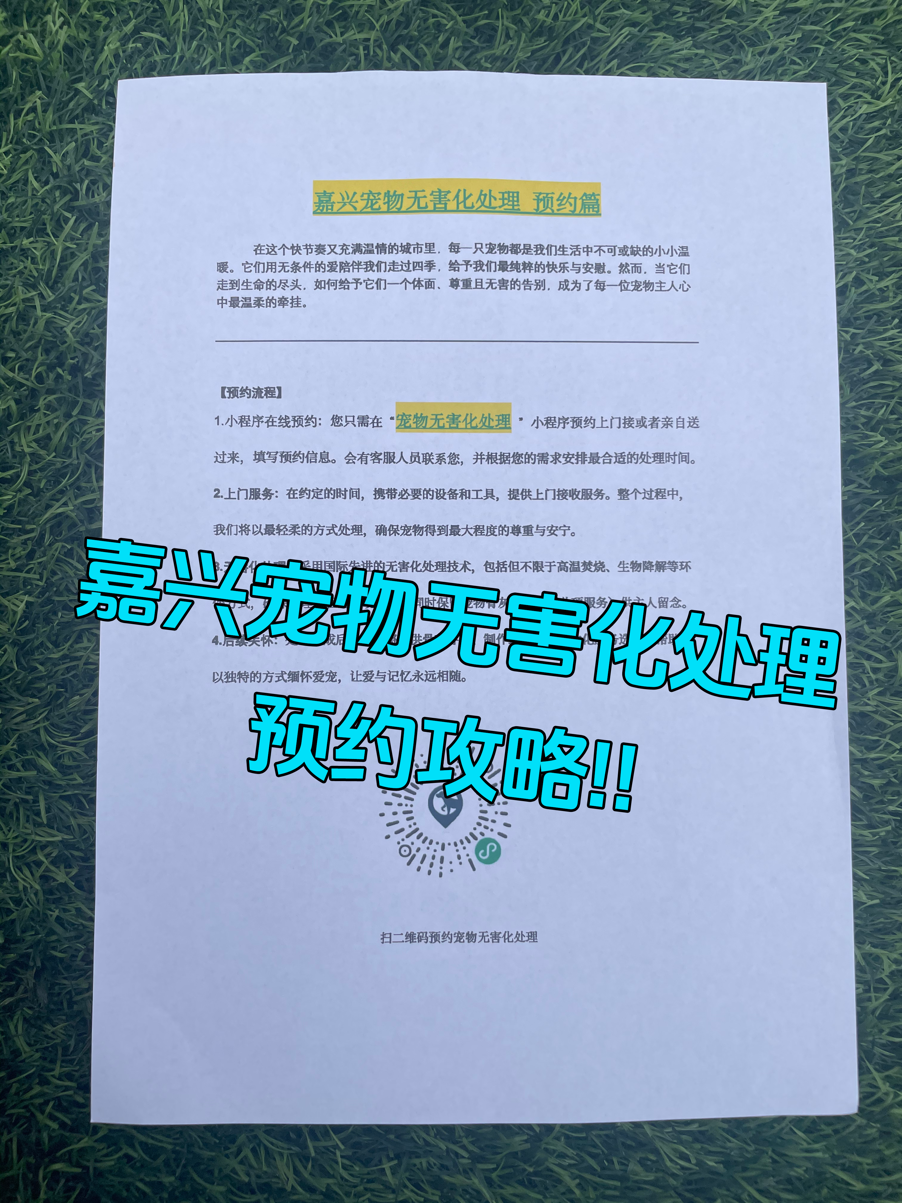 宣城宠物无害化