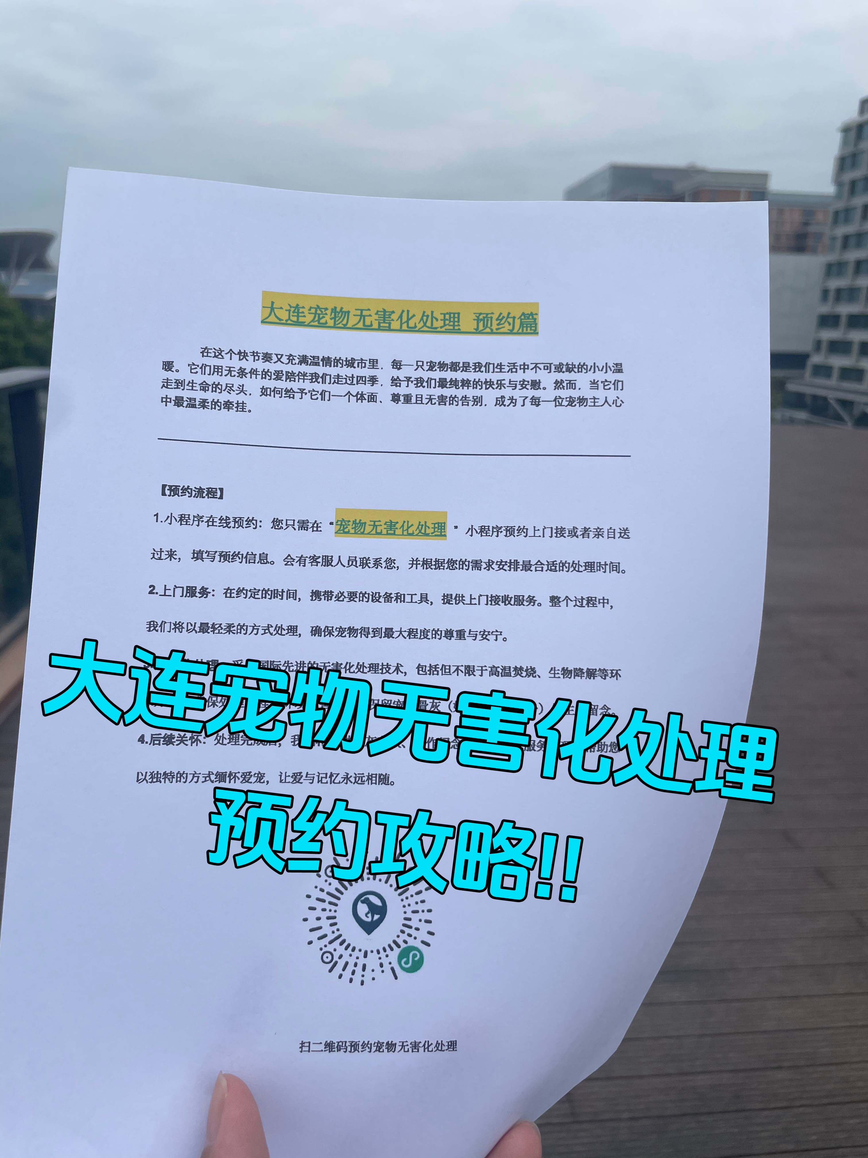 福州宠物遗体规范处理