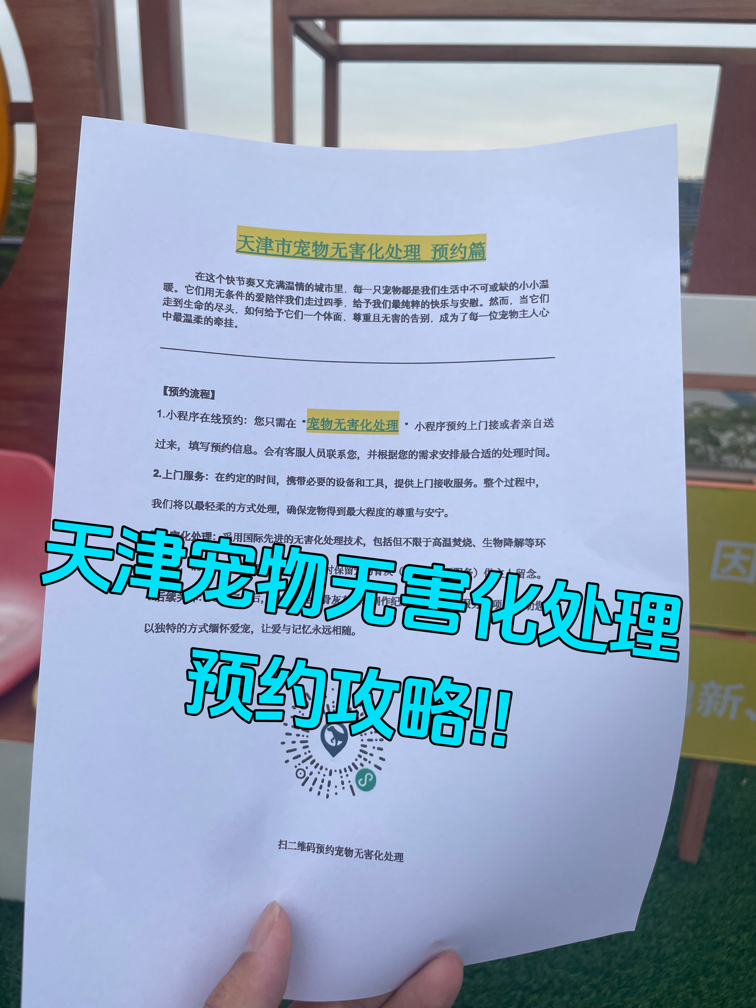 宣城宠物告别