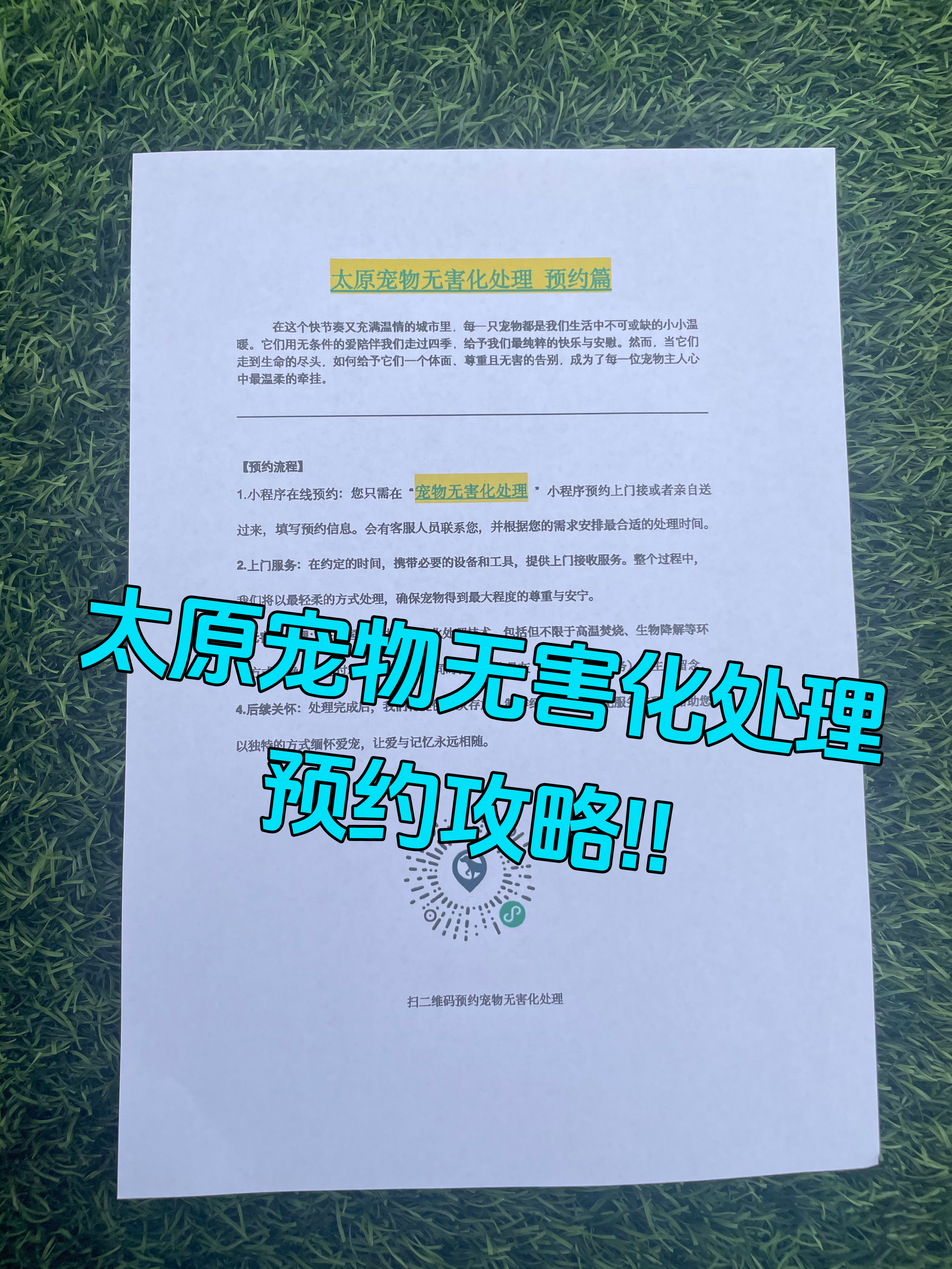 宣城宠物无害化处理流程