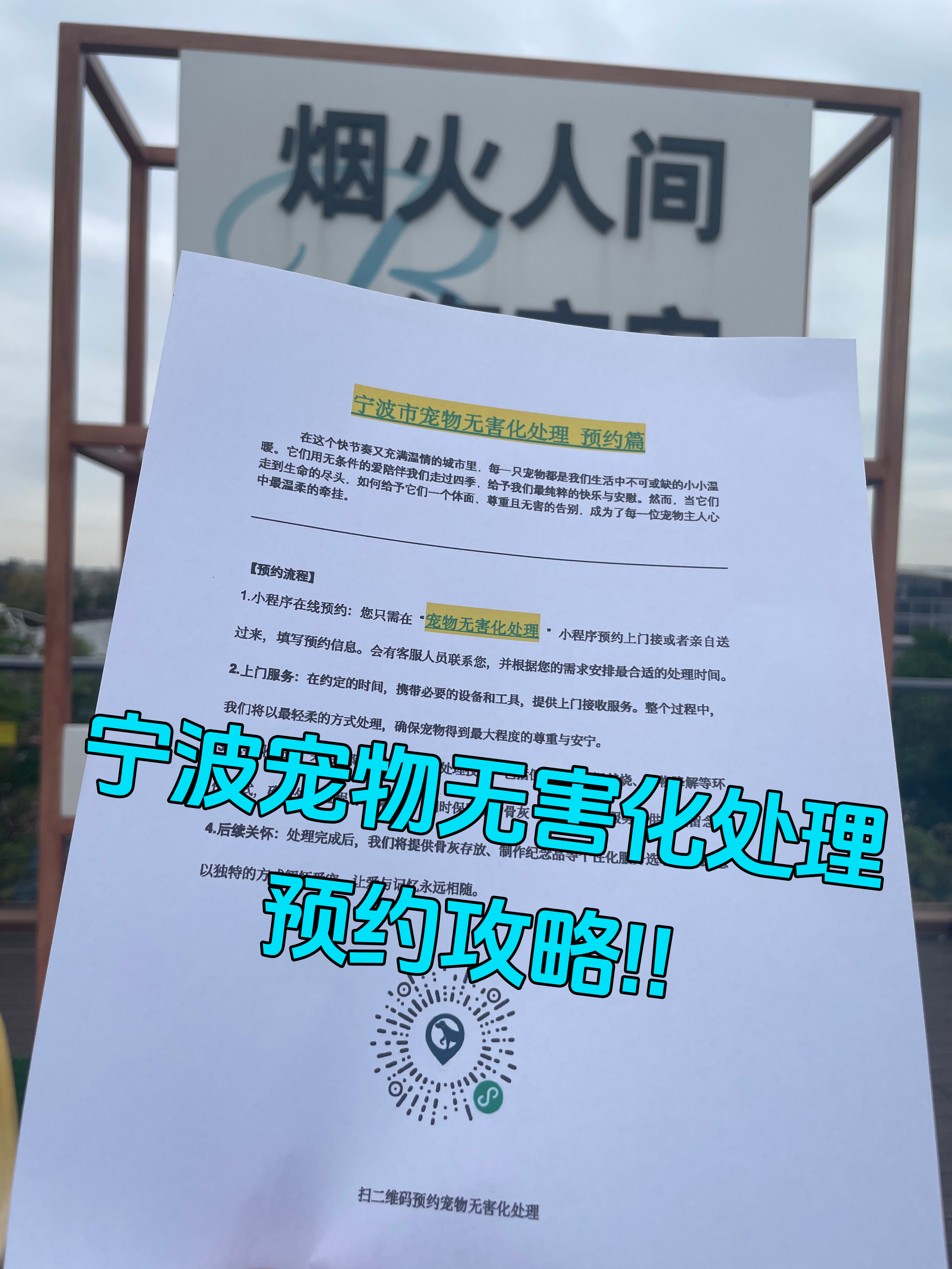 宣城宠物接运服务