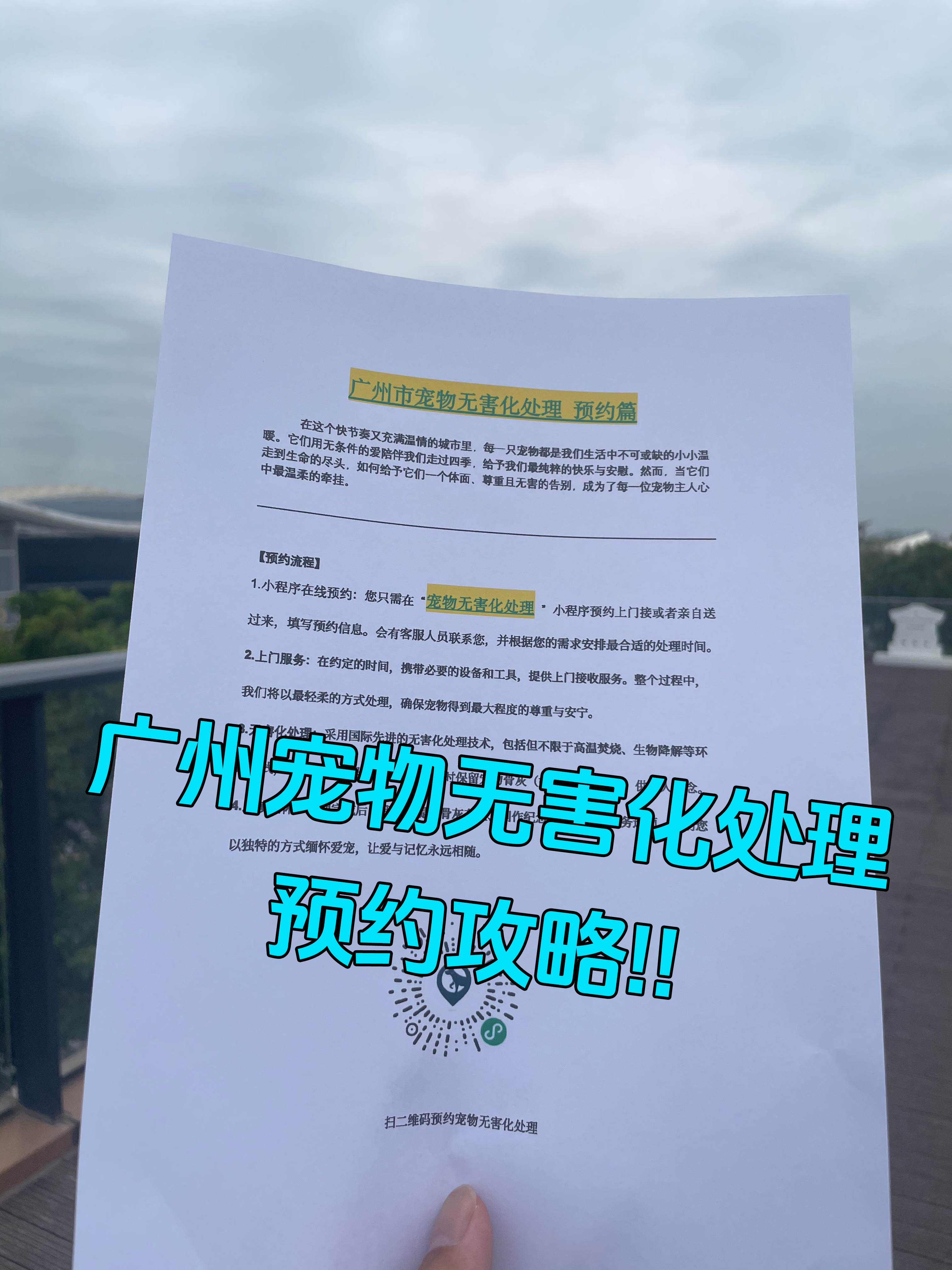 宣城宠物骨灰安置