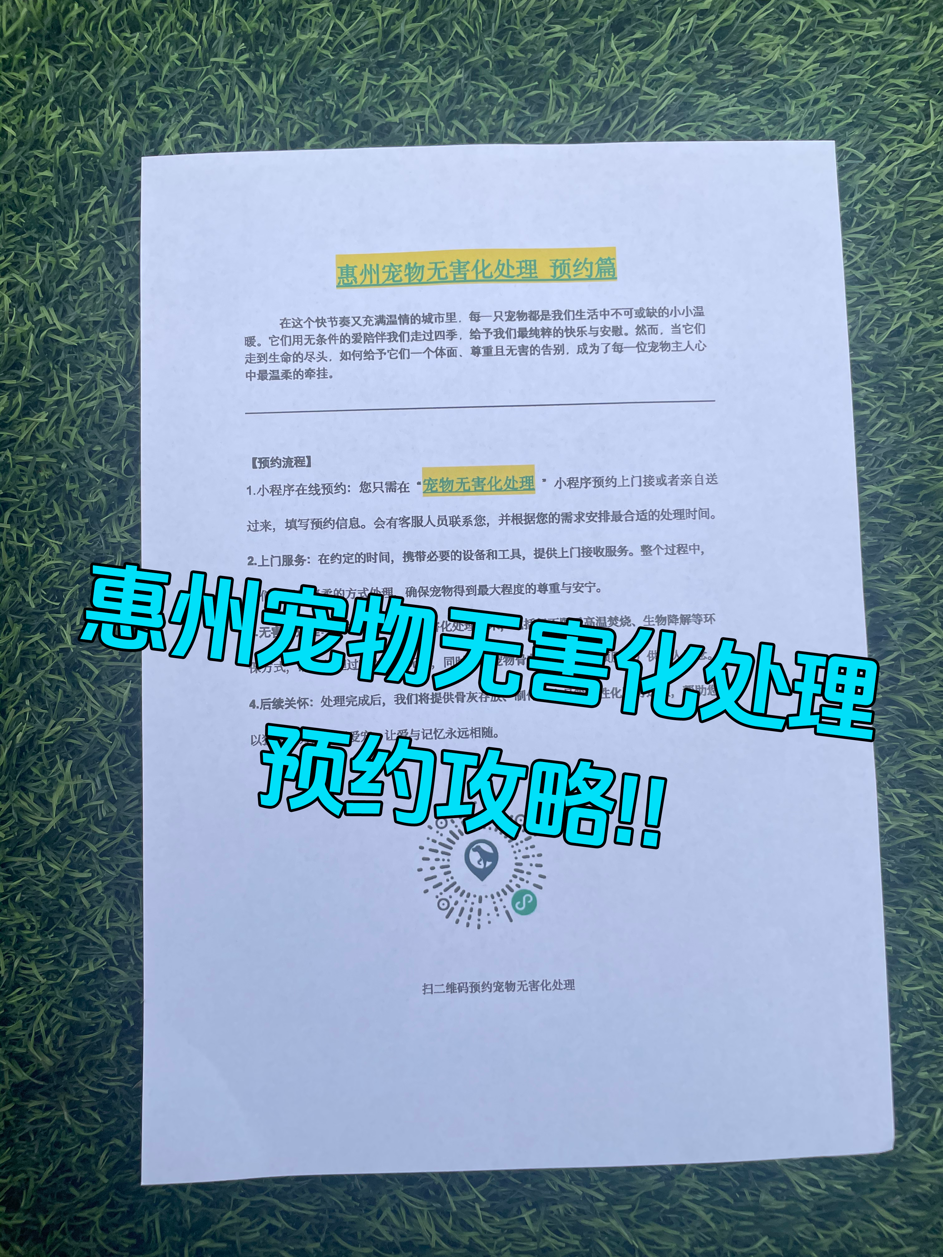 黄山区宠物无害化