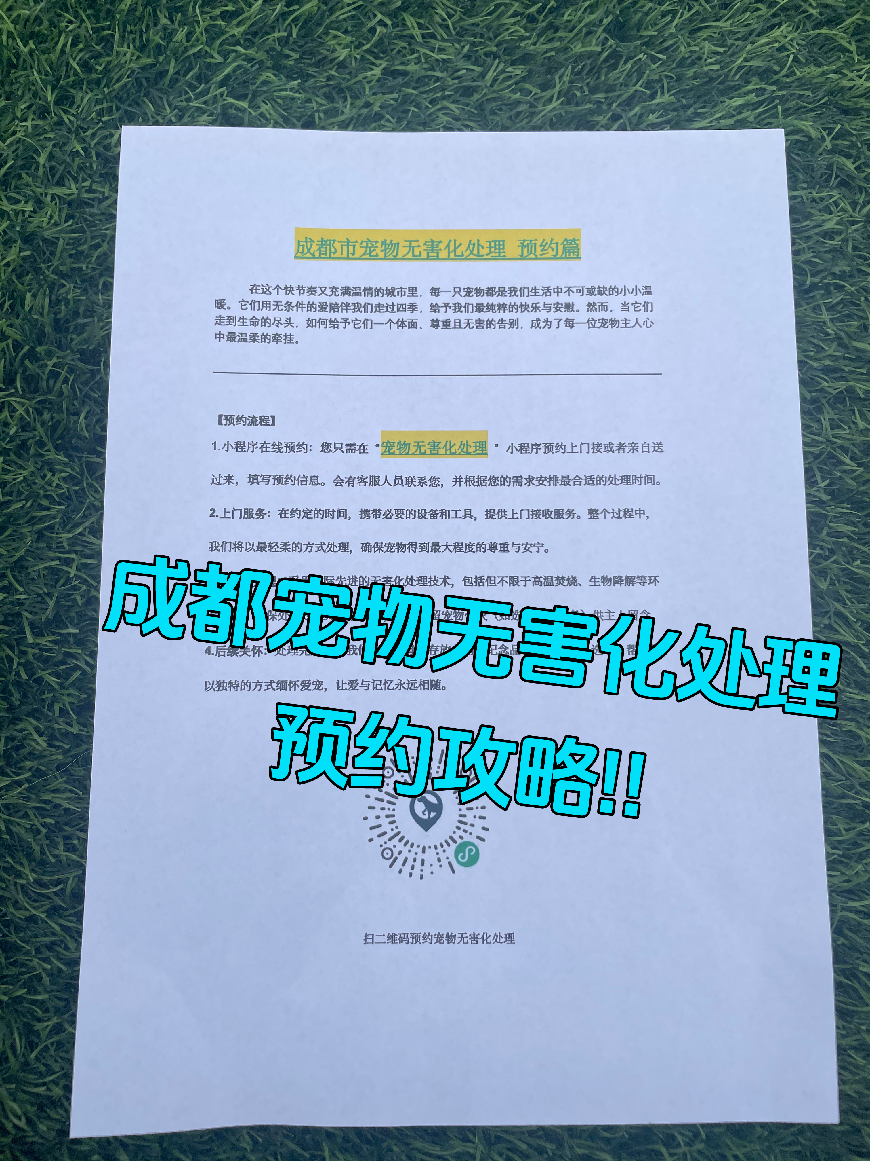 黄山区宠摆渡服务
