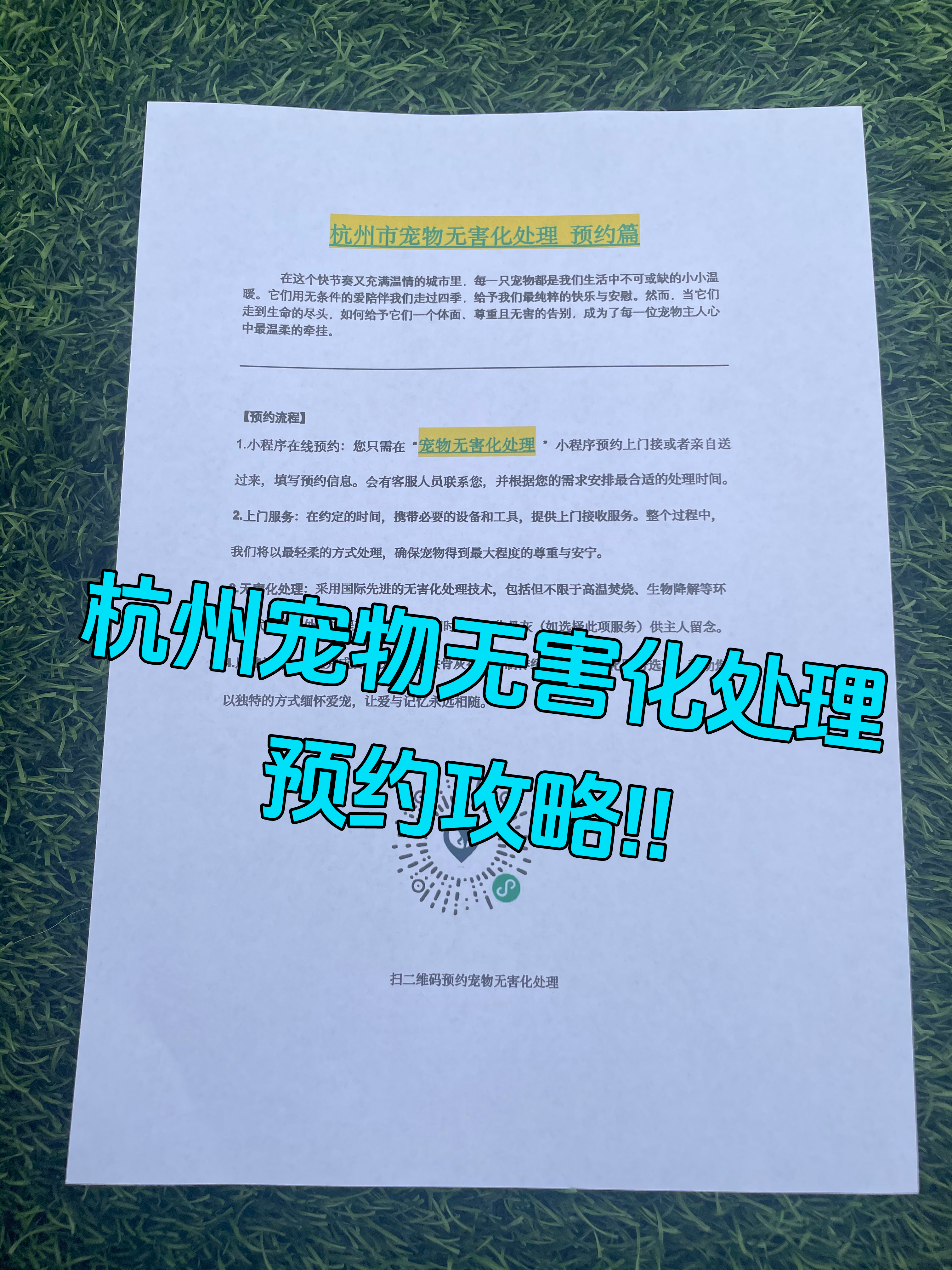 黄山区宠物接运服务