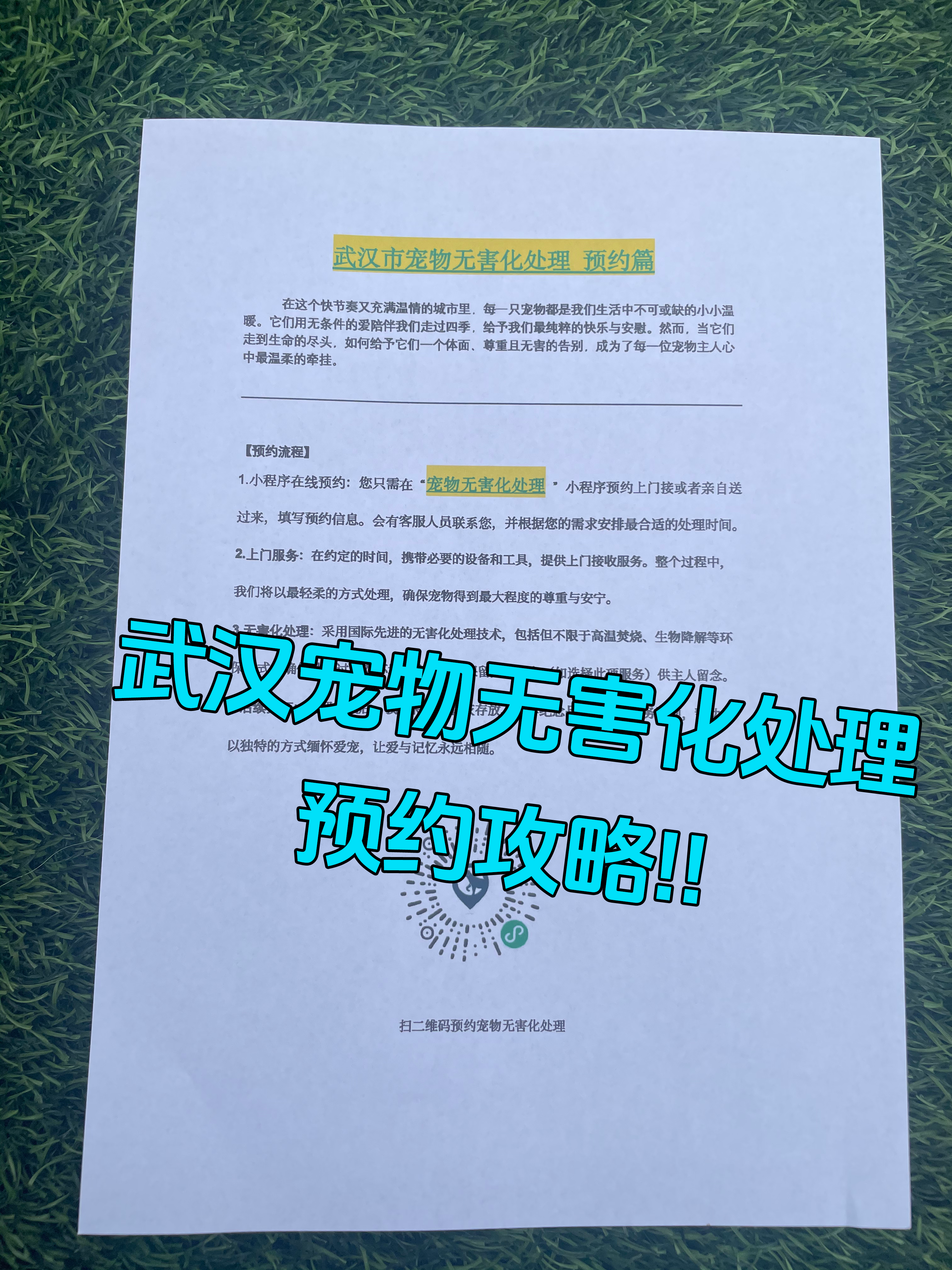 黄山区宠物告别厅