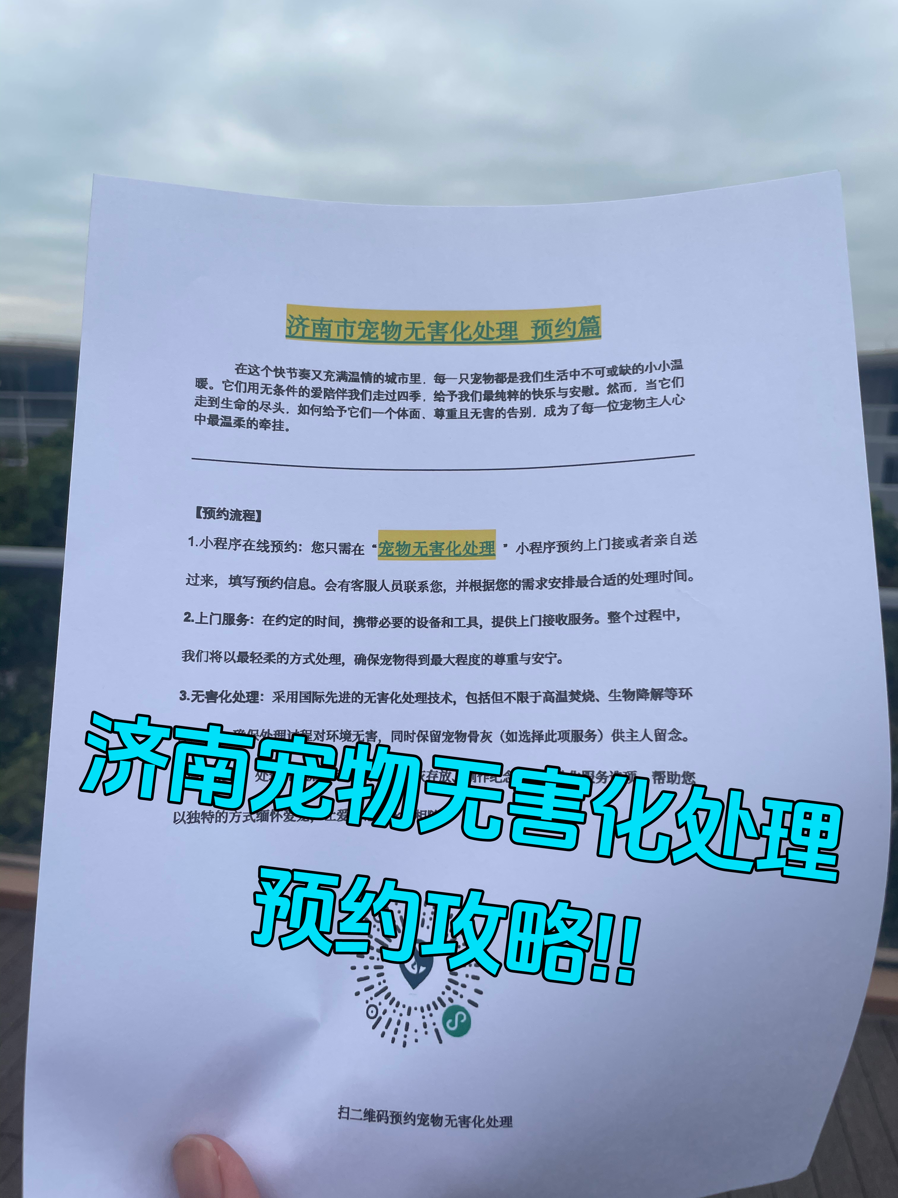 徽州区宠物无害化