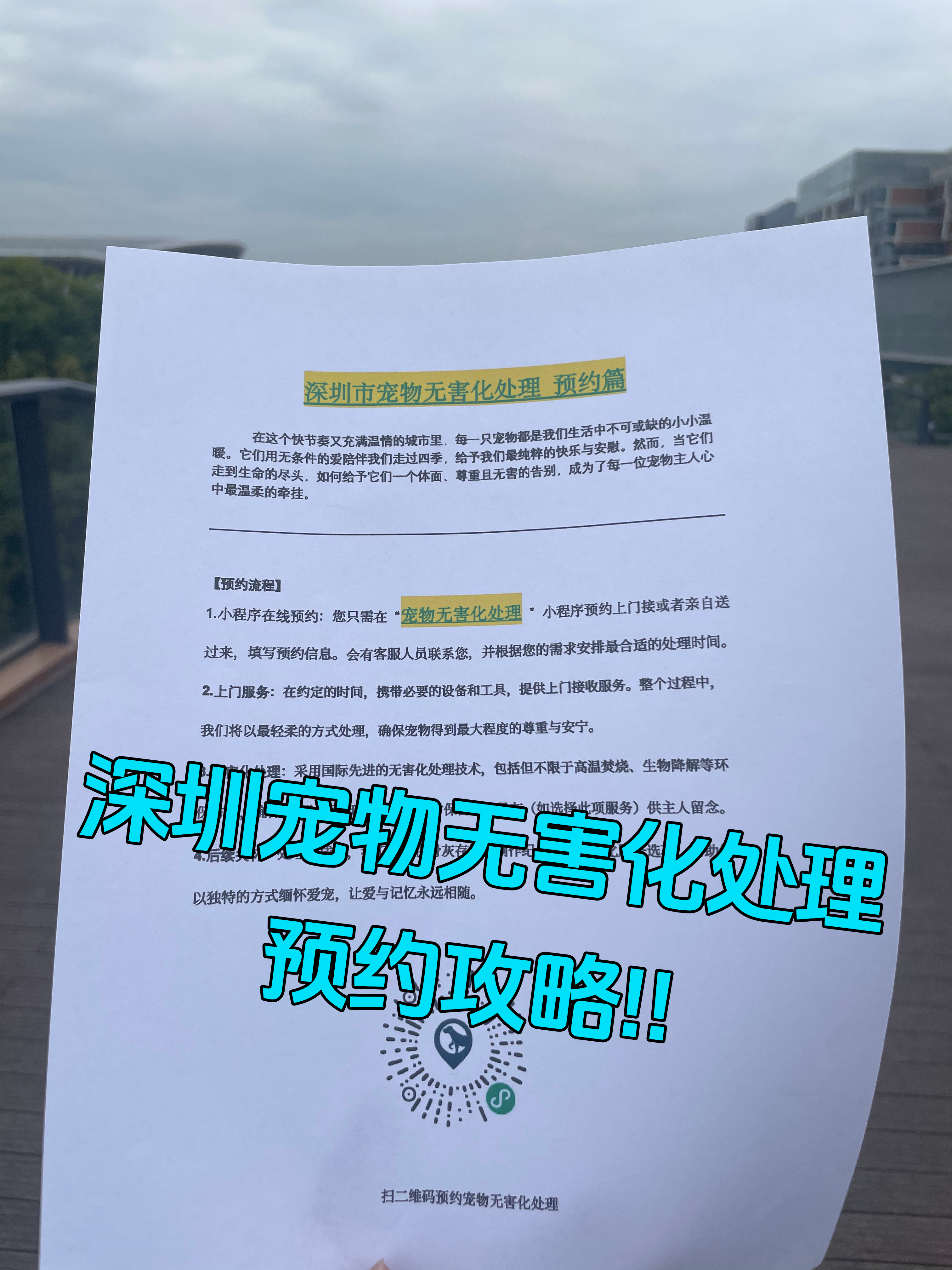徽州区宠摆渡服务