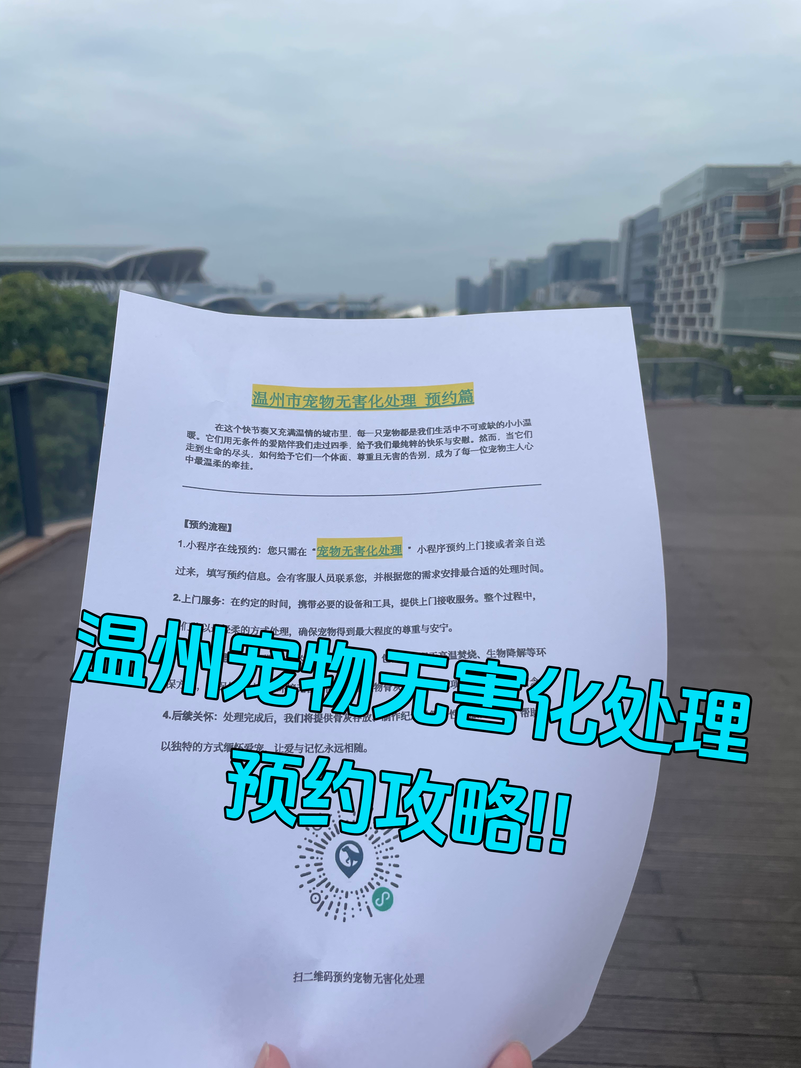 徽州区宠物告别
