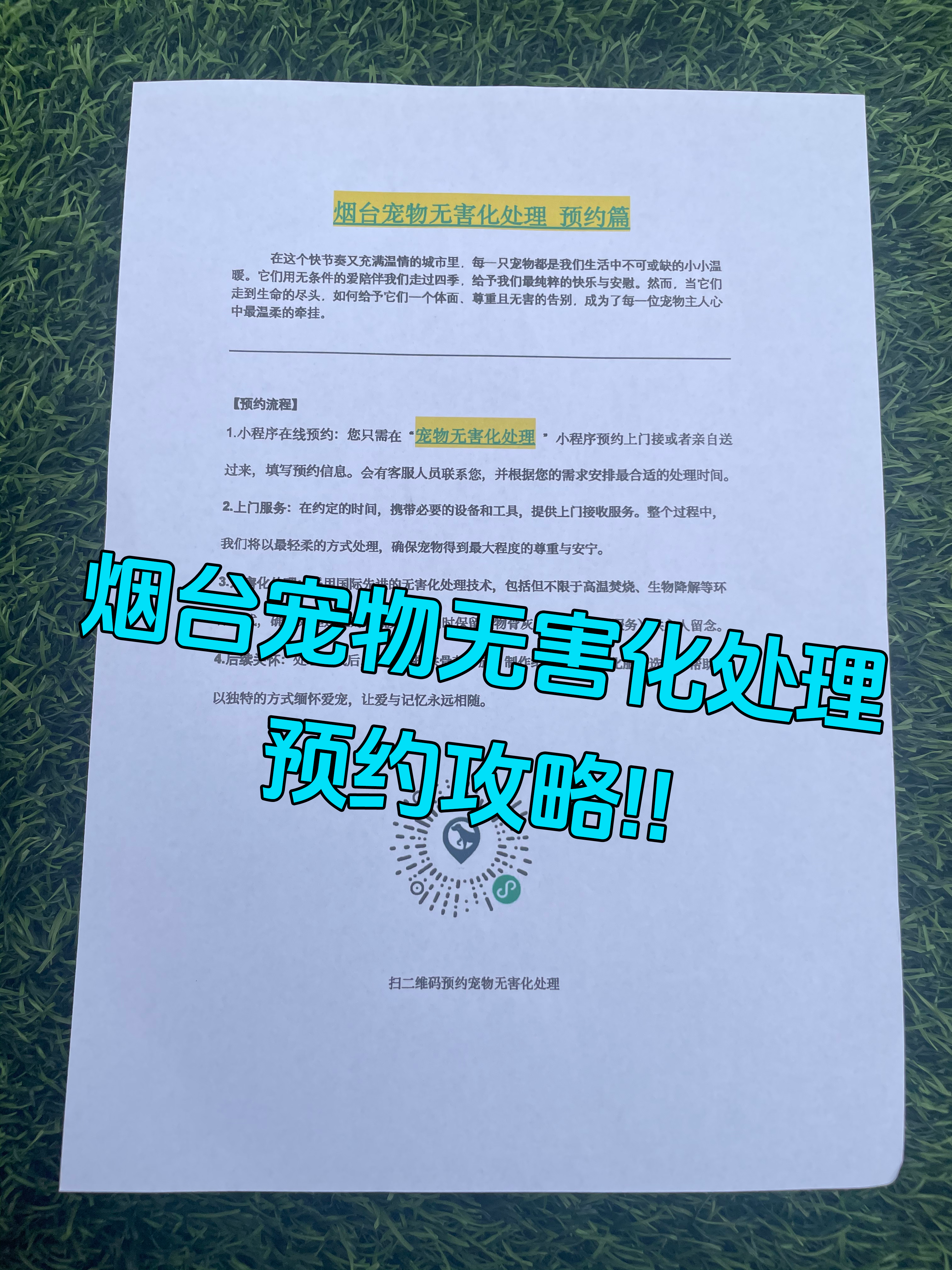 贵阳宠物遗体规范处理