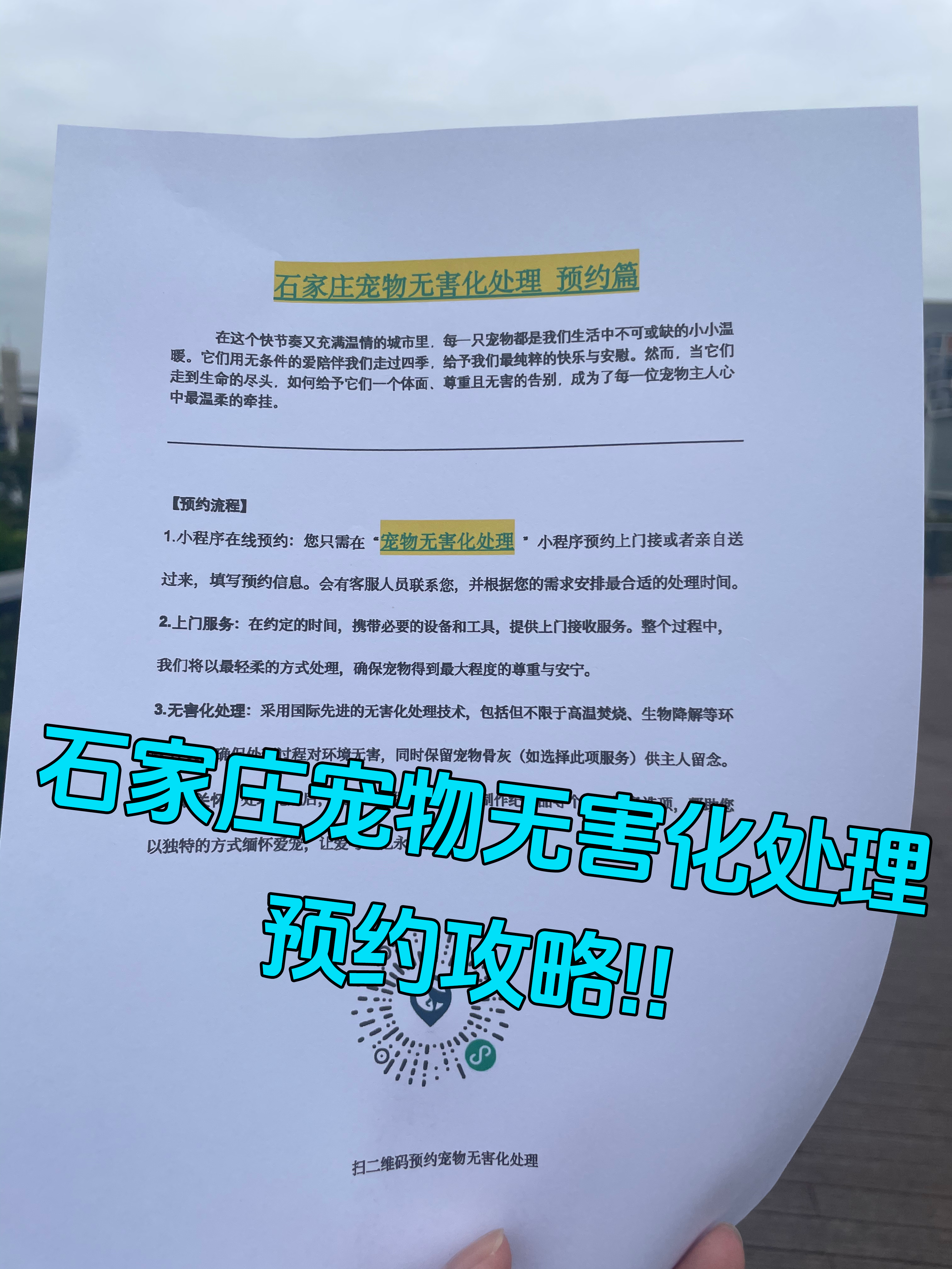 徽州区宠物骨灰安置