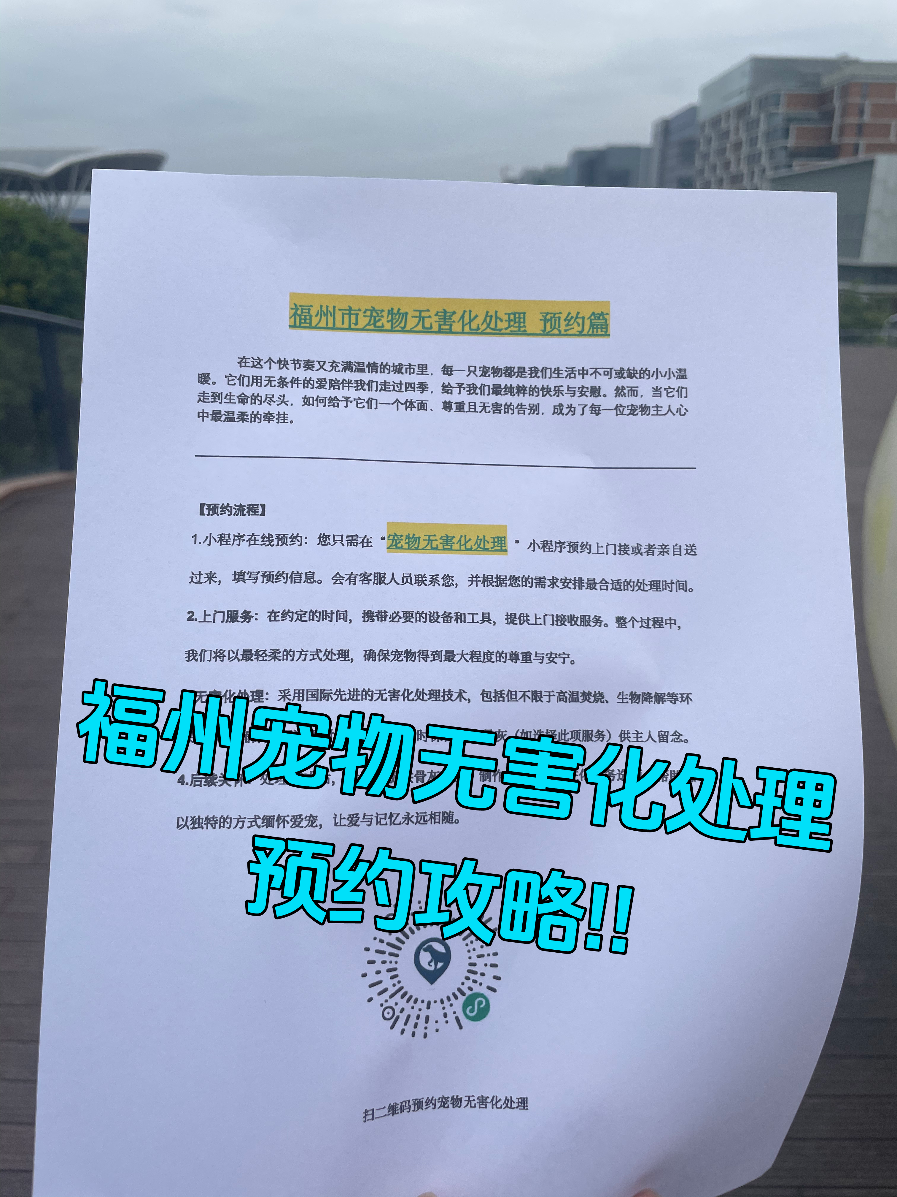 屯溪宠物无害化处理