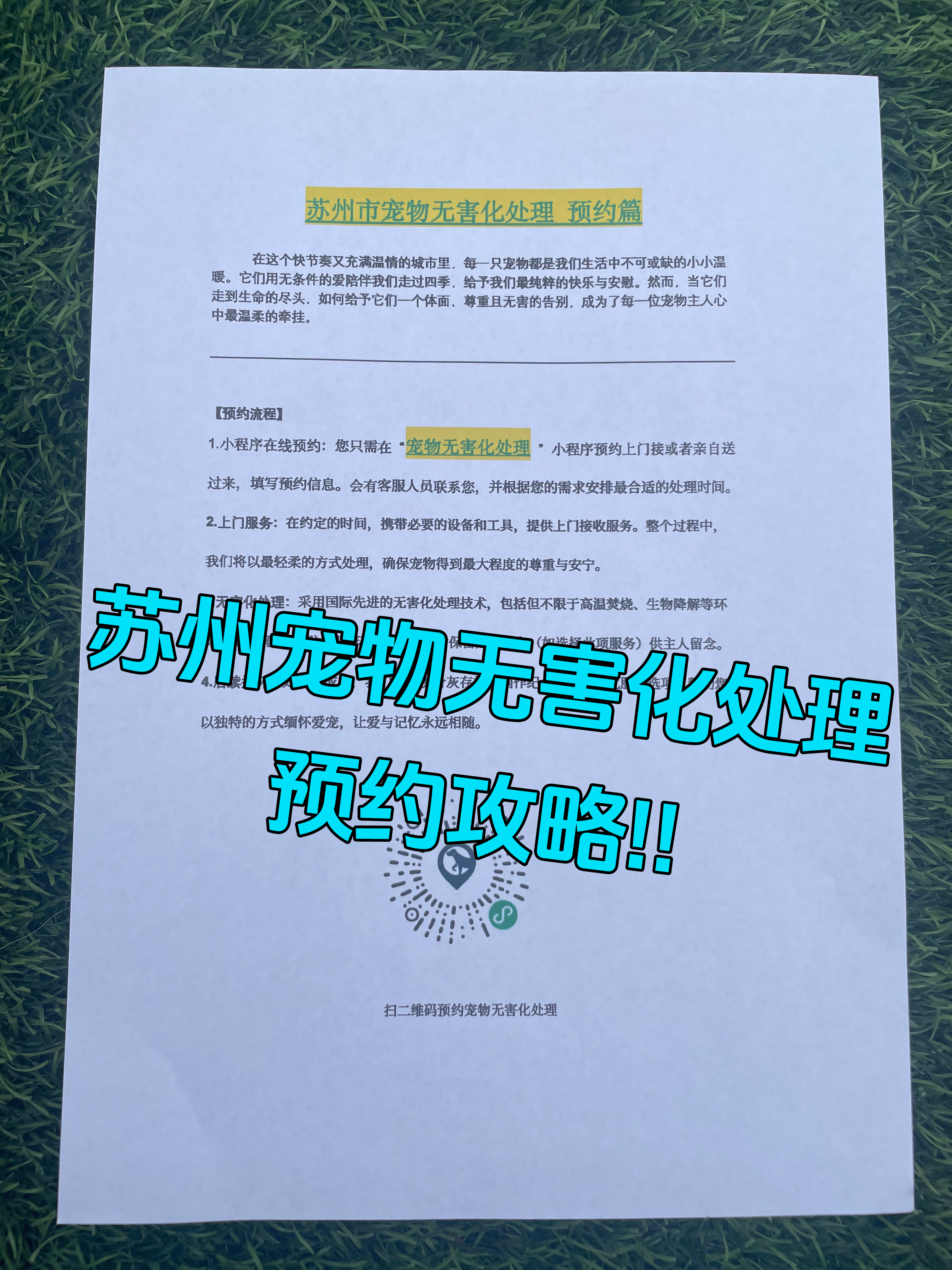 屯溪宠摆渡服务