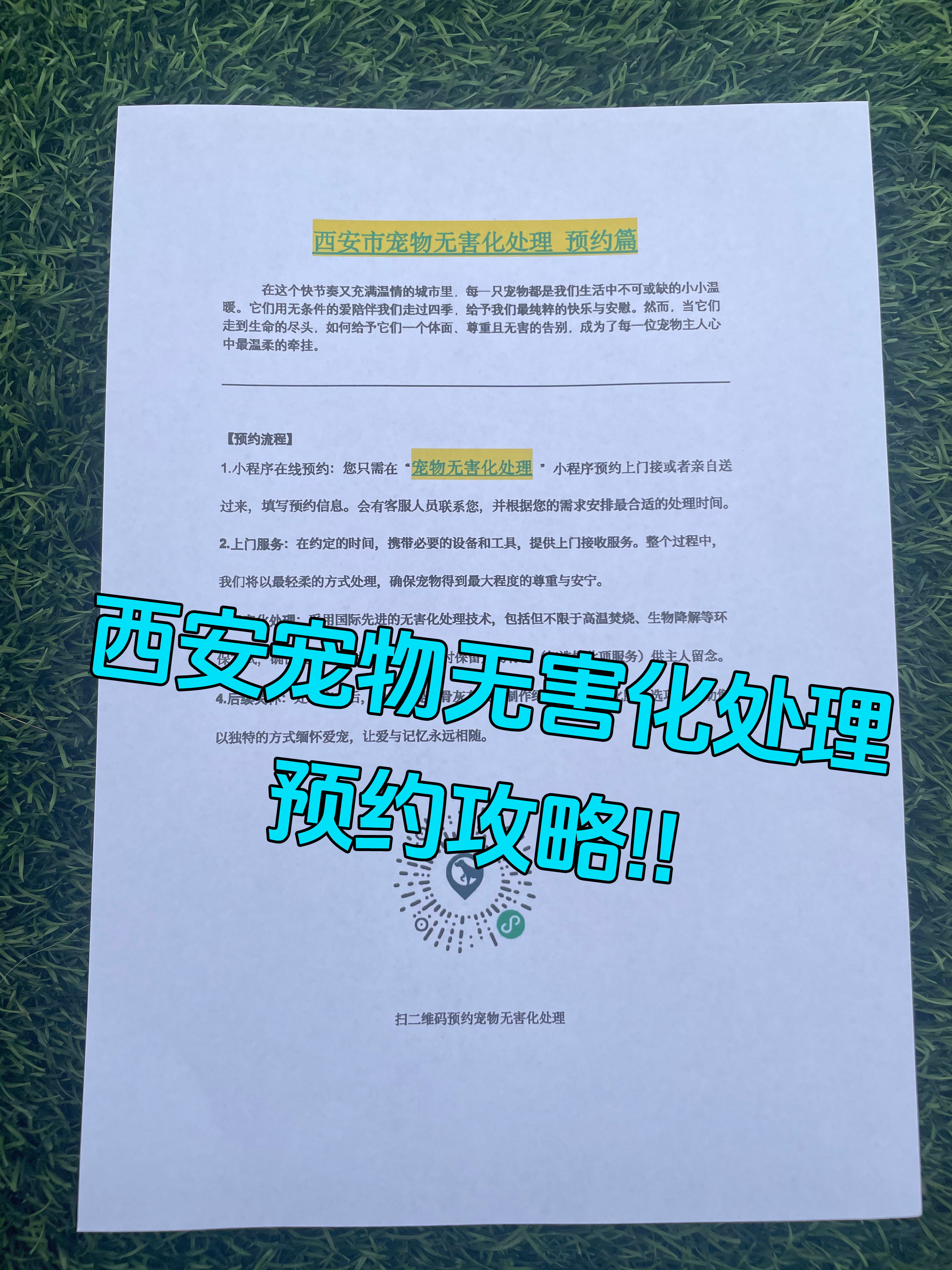 屯溪宠物告别