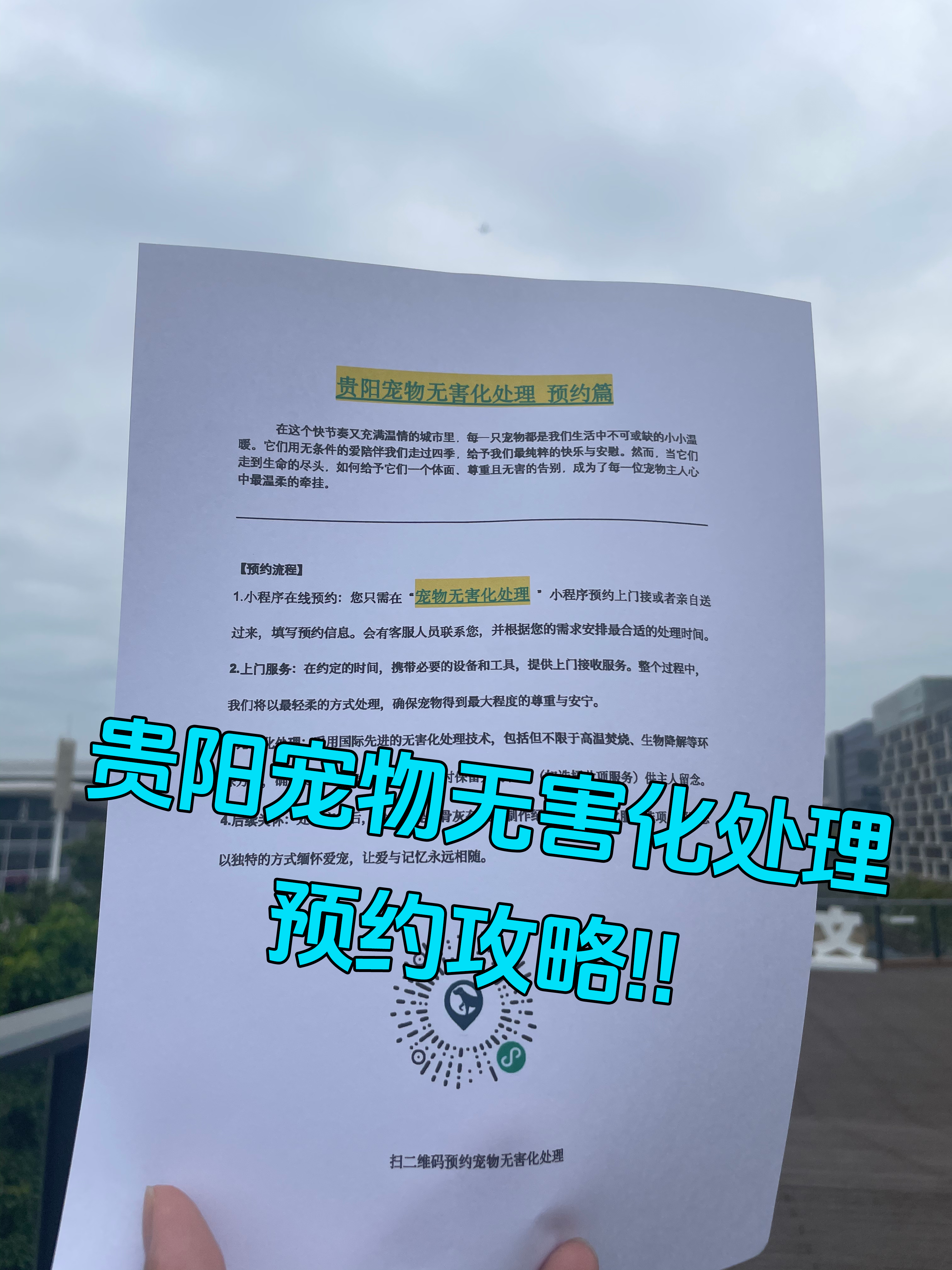 屯溪宠物无害化处理流程