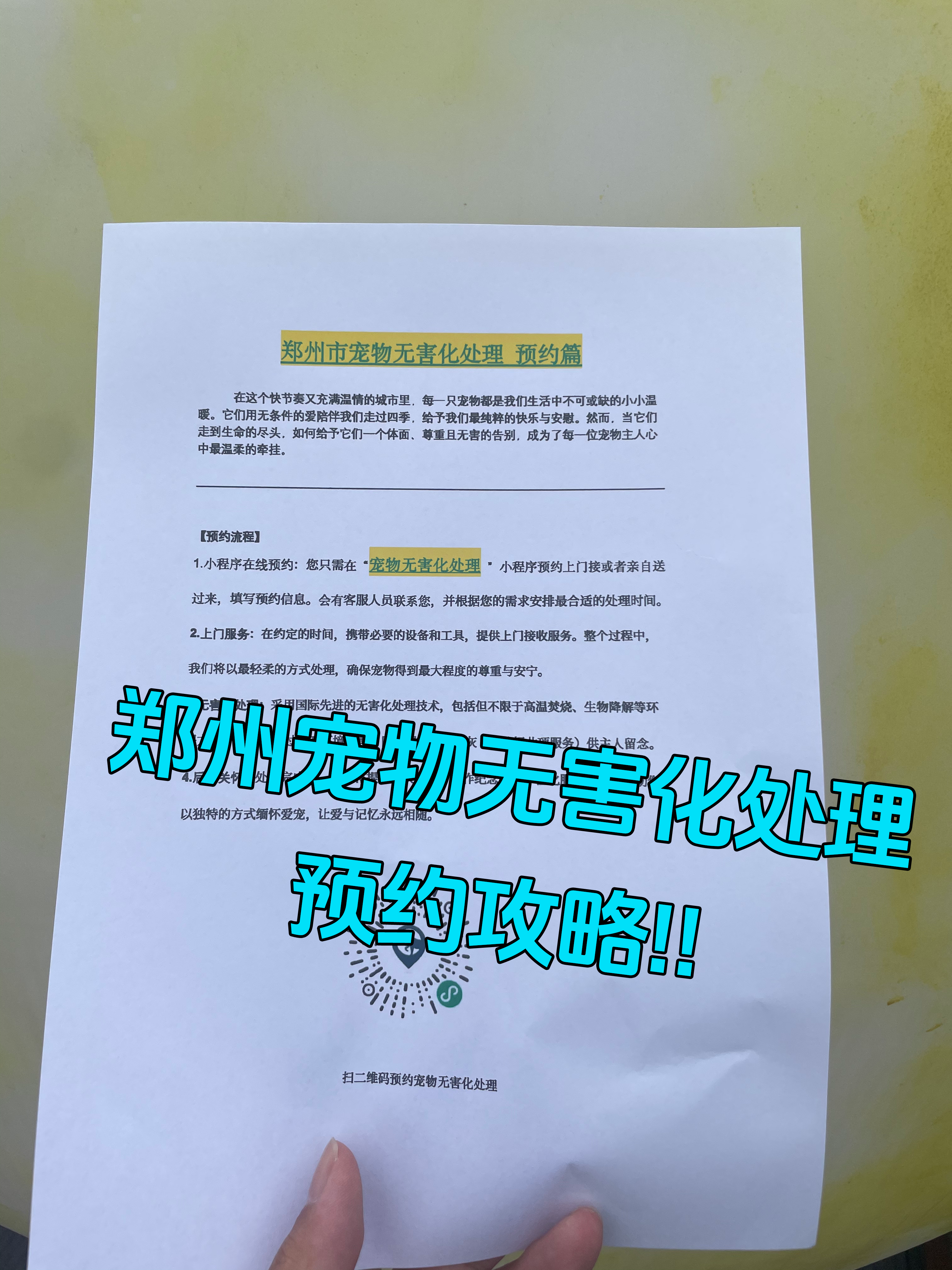 屯溪宠物接运服务