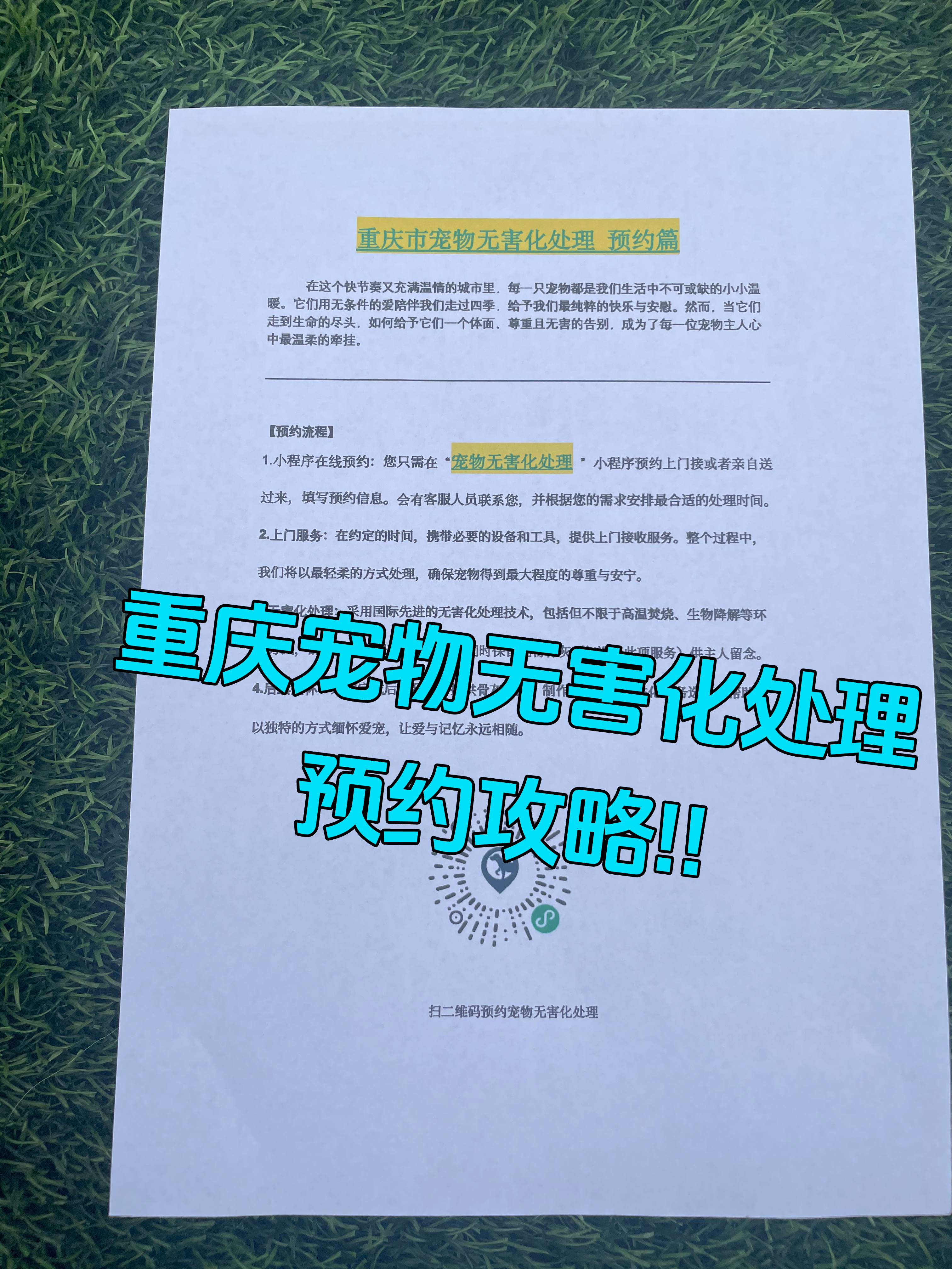 嘉兴宠物无害化处理机构