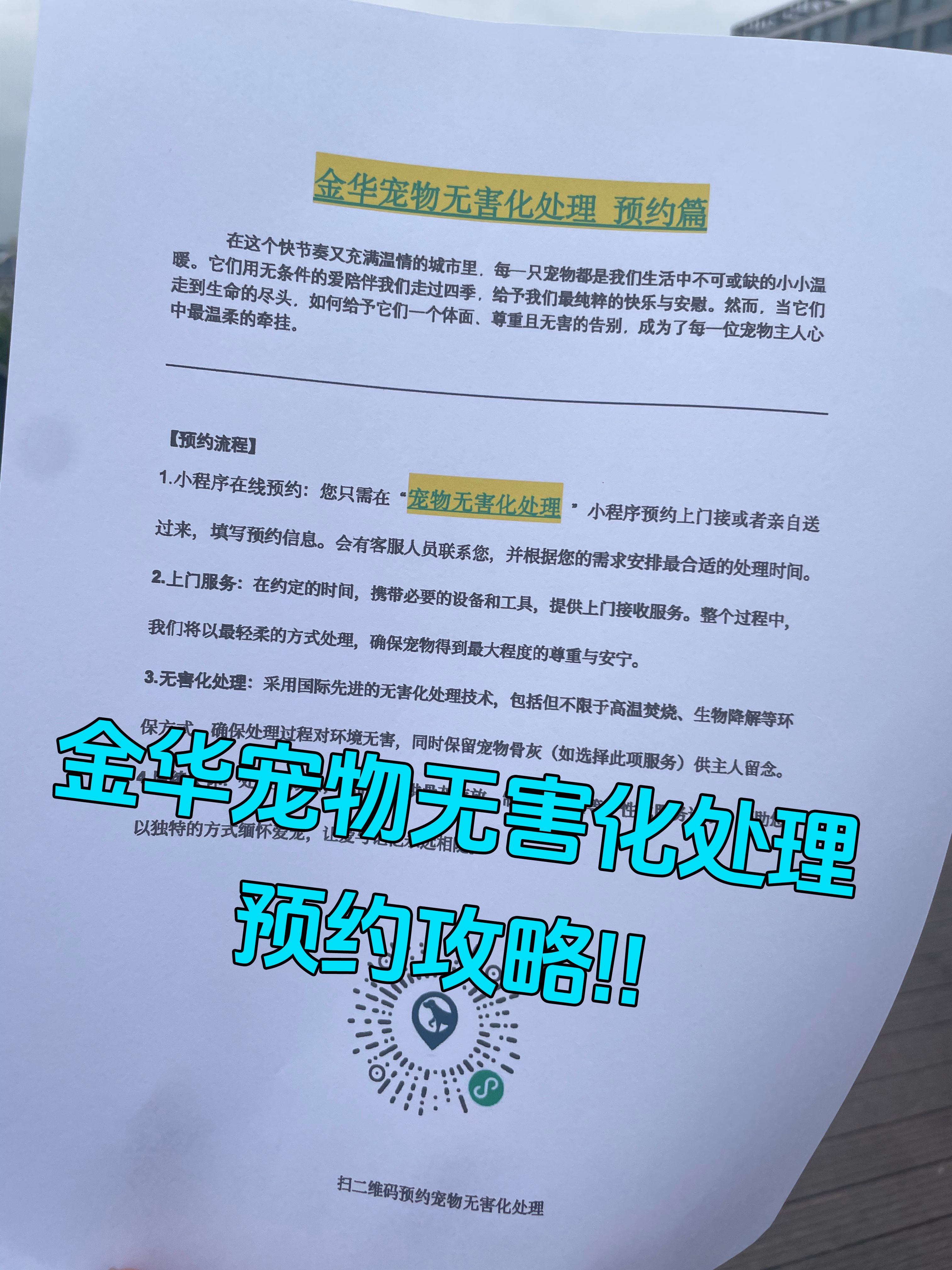 汕头宠物遗体规范处理
