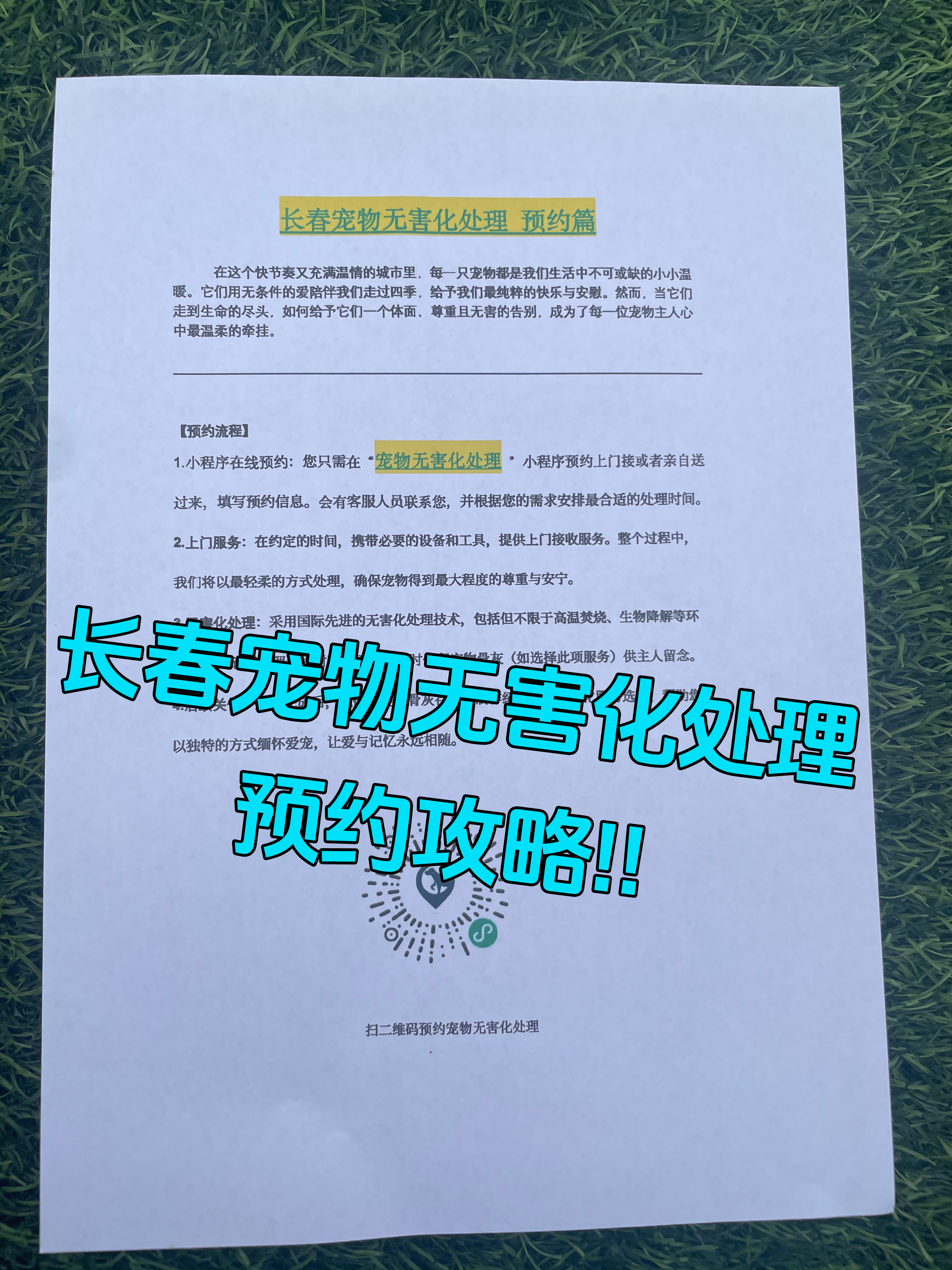 青岛宠物无害化处理机构