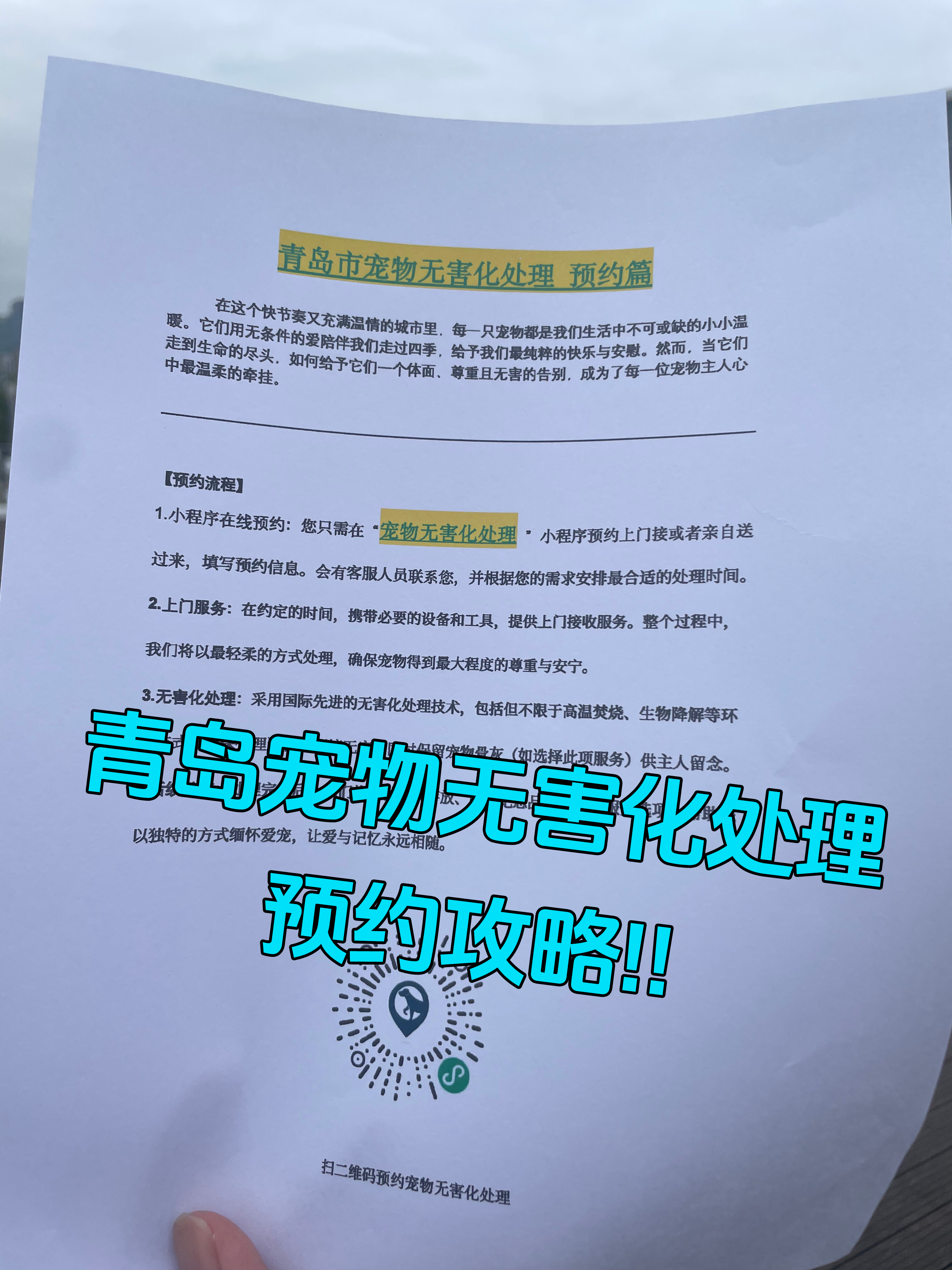 哈尔滨宠物遗体规范处理