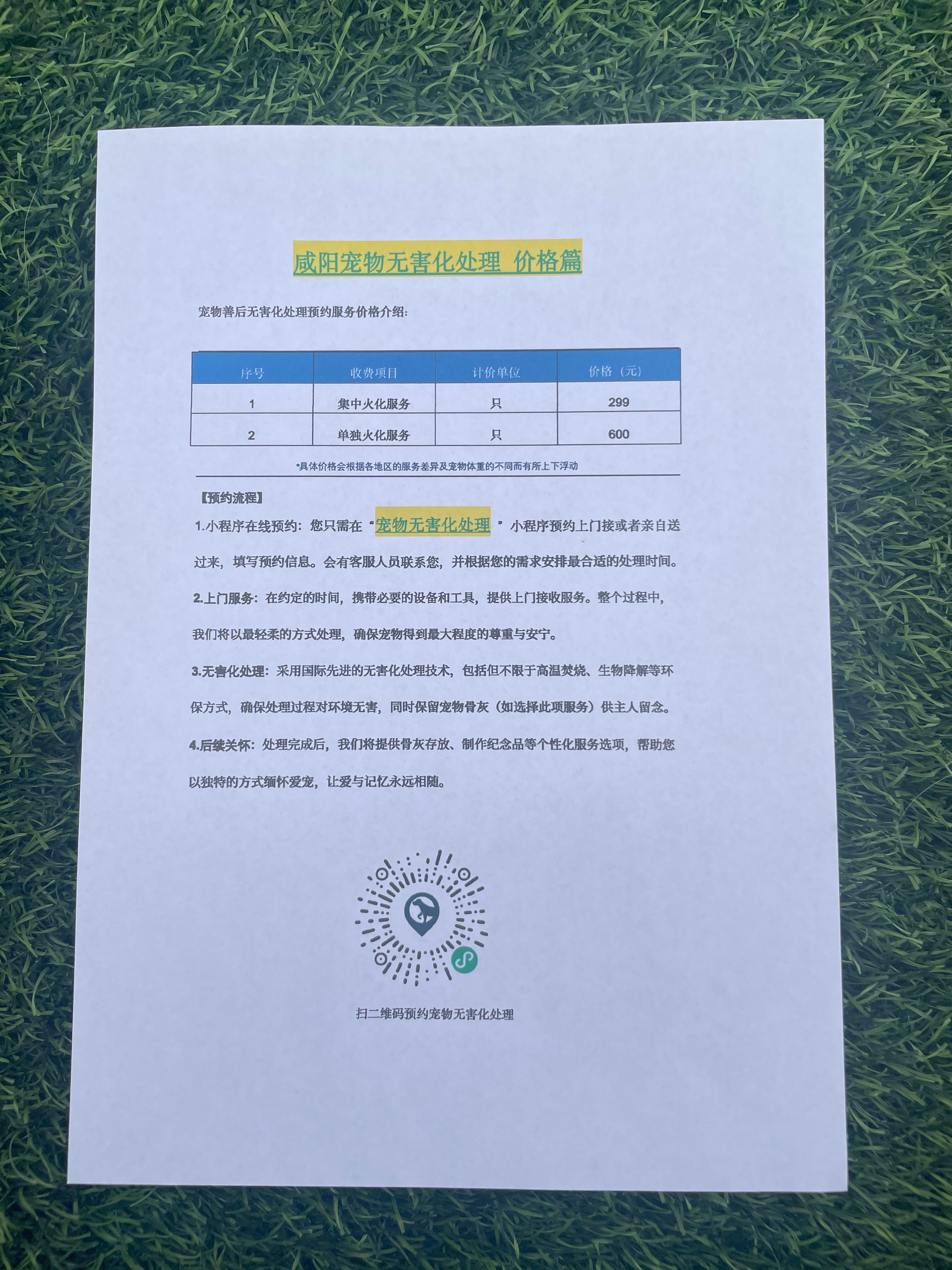 东莞宠物遗体规范处理
