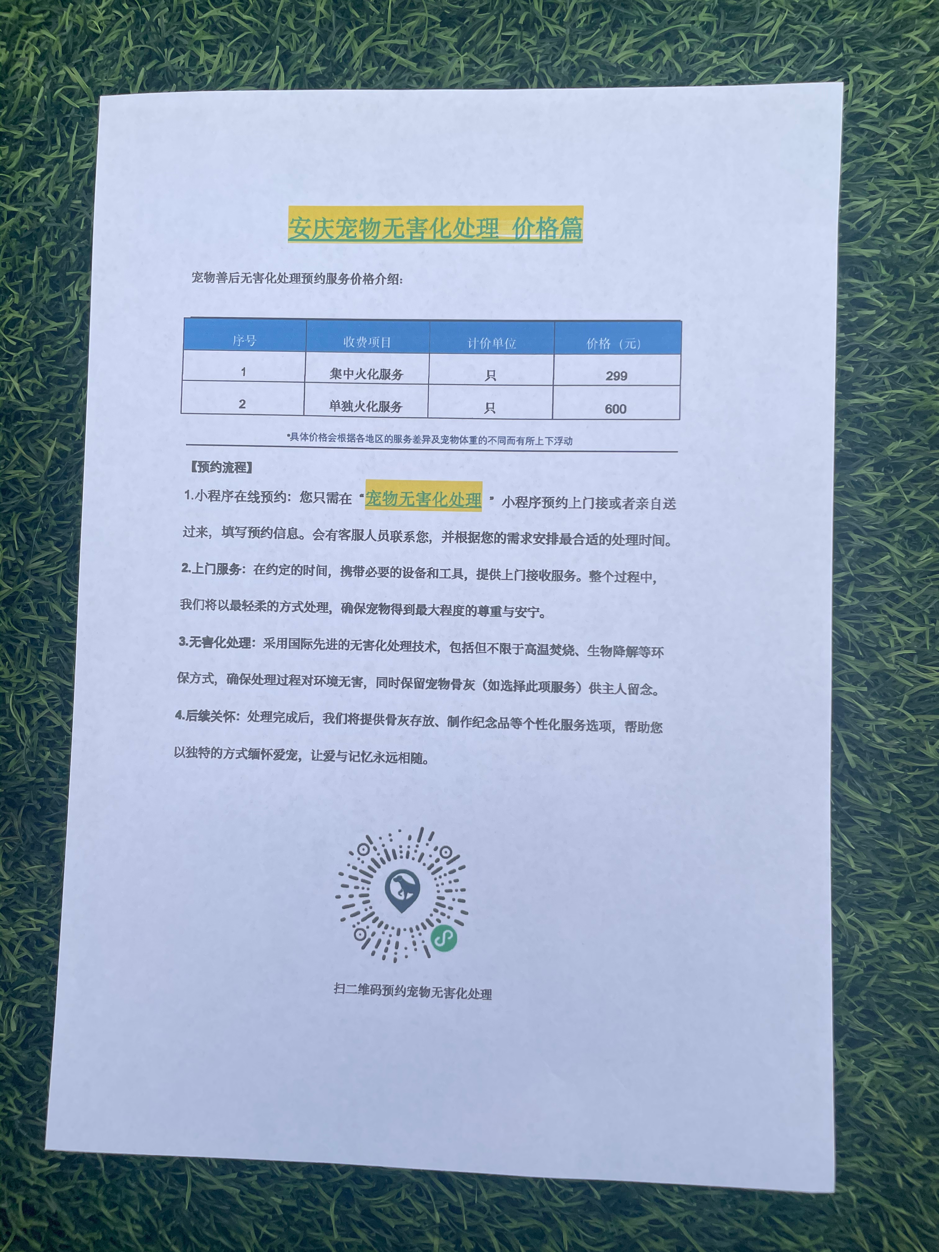 贵溪宠物接运服务