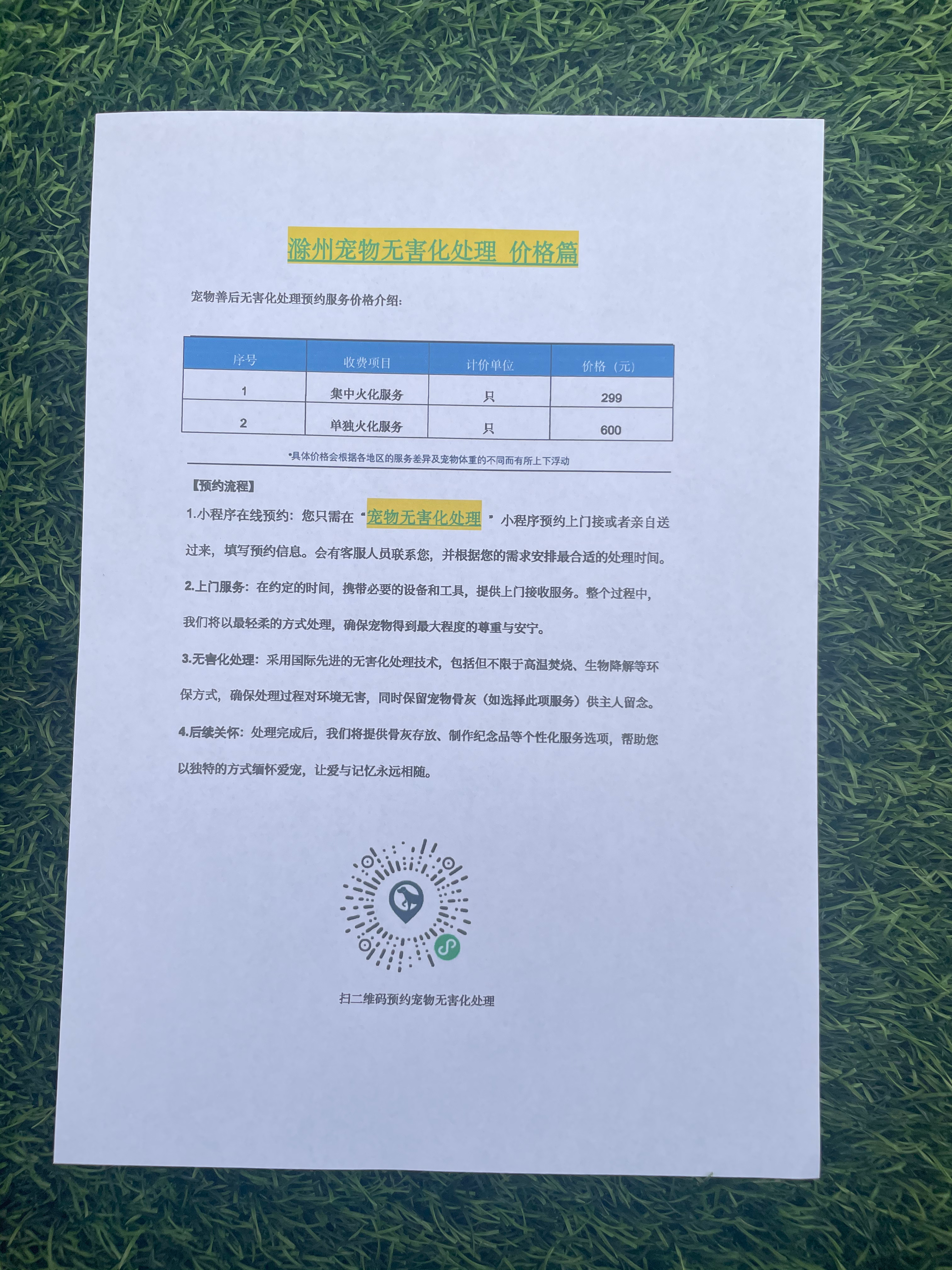 赣县宠摆渡服务