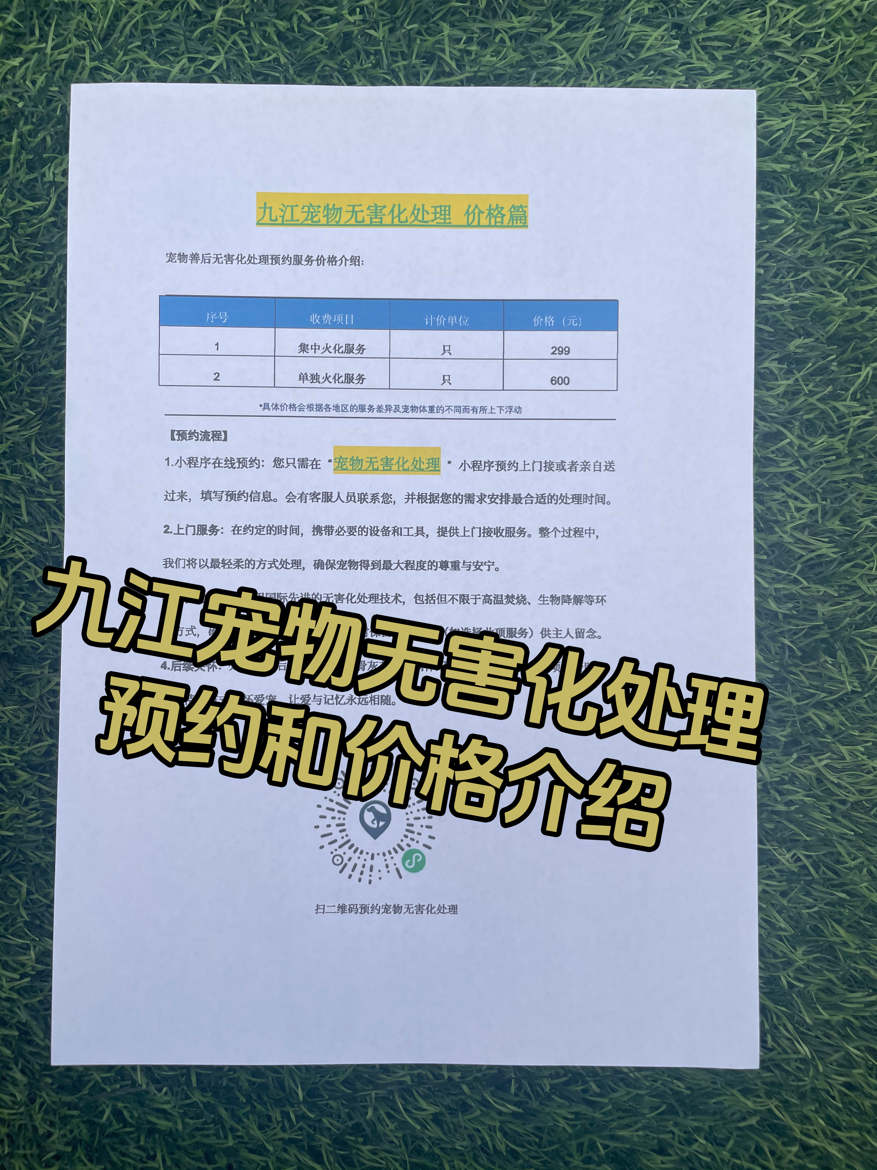 大余宠物接运服务
