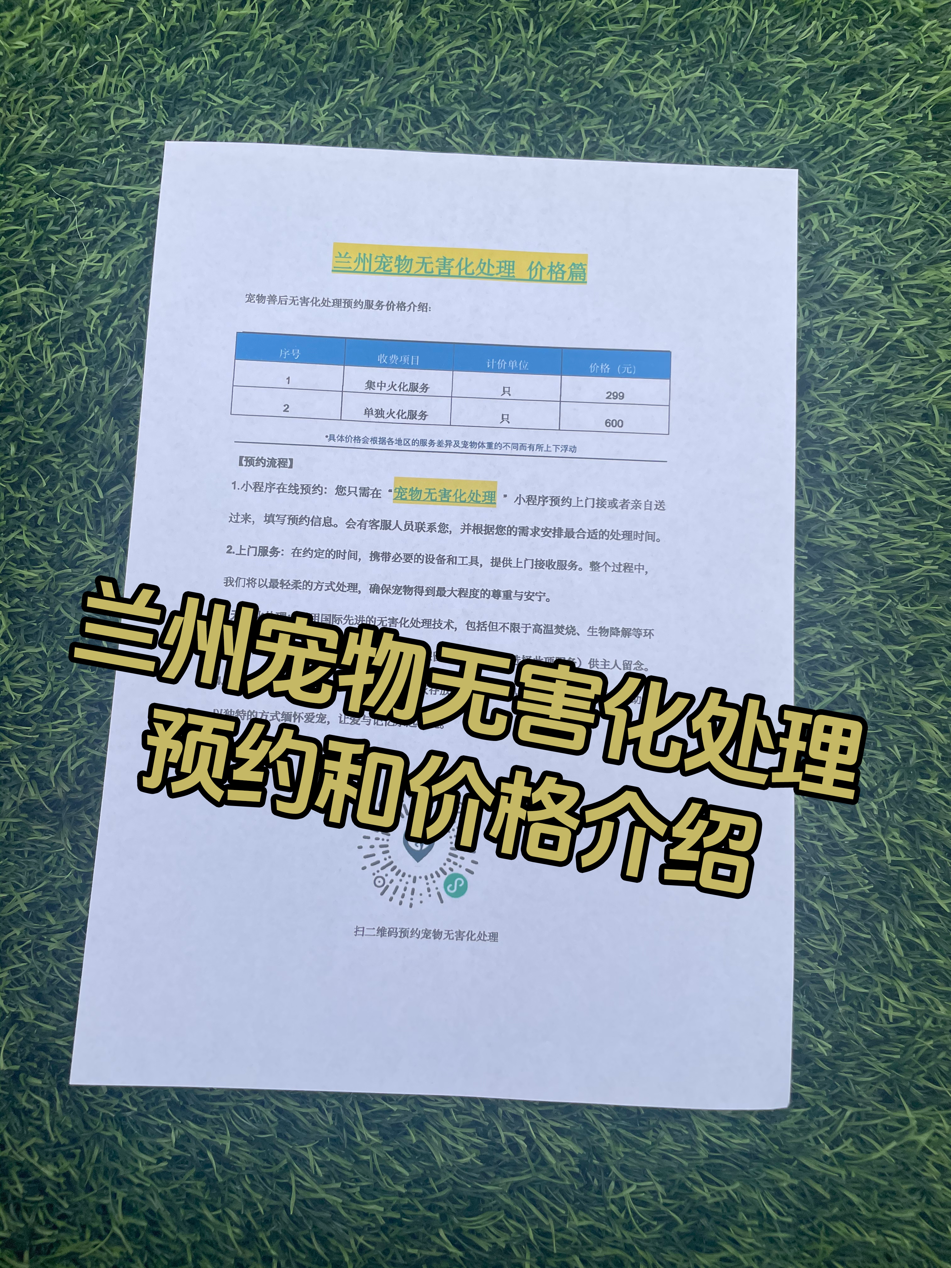 大余宠物骨灰安置