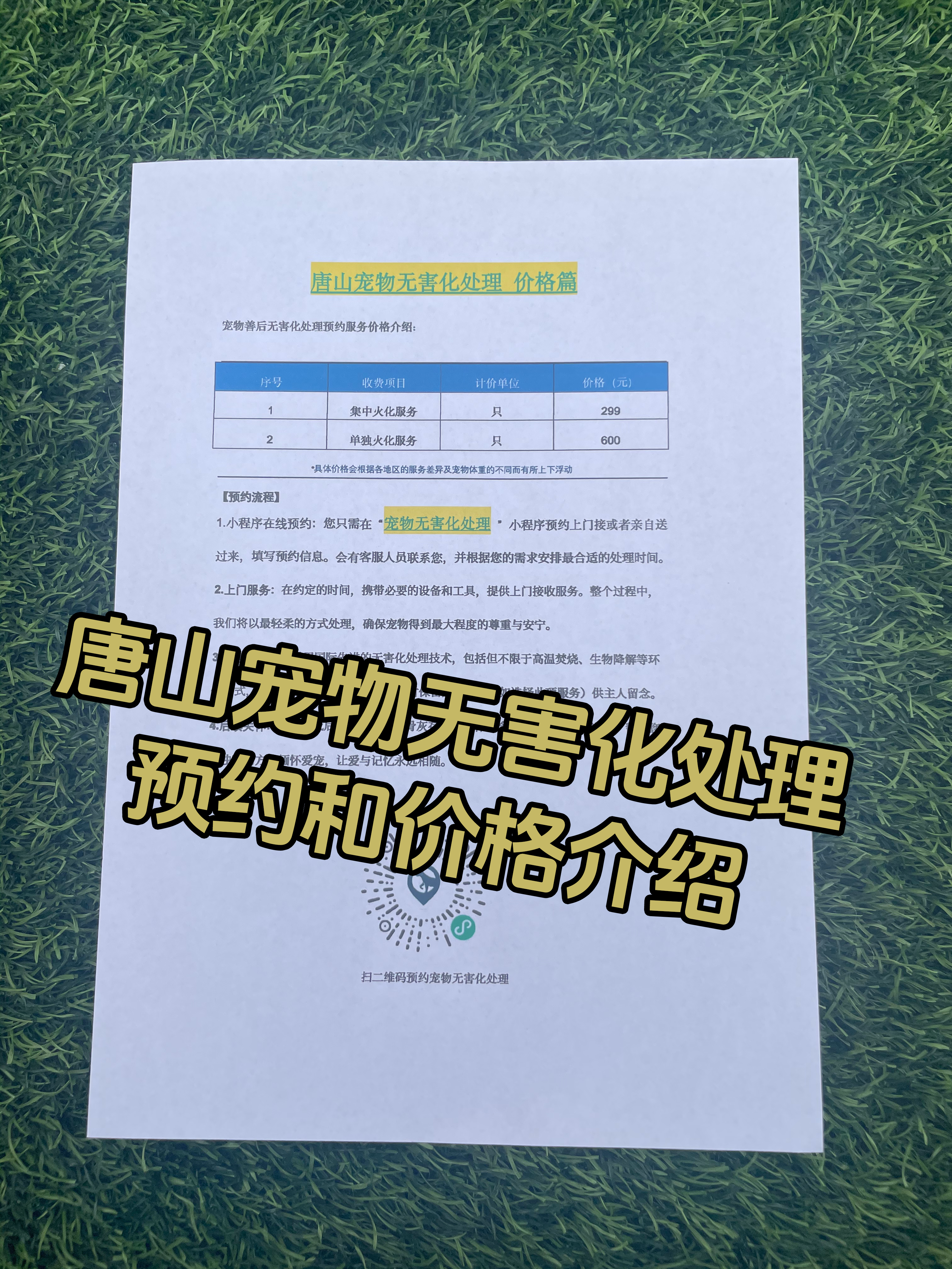 上犹宠物无害化处理流程