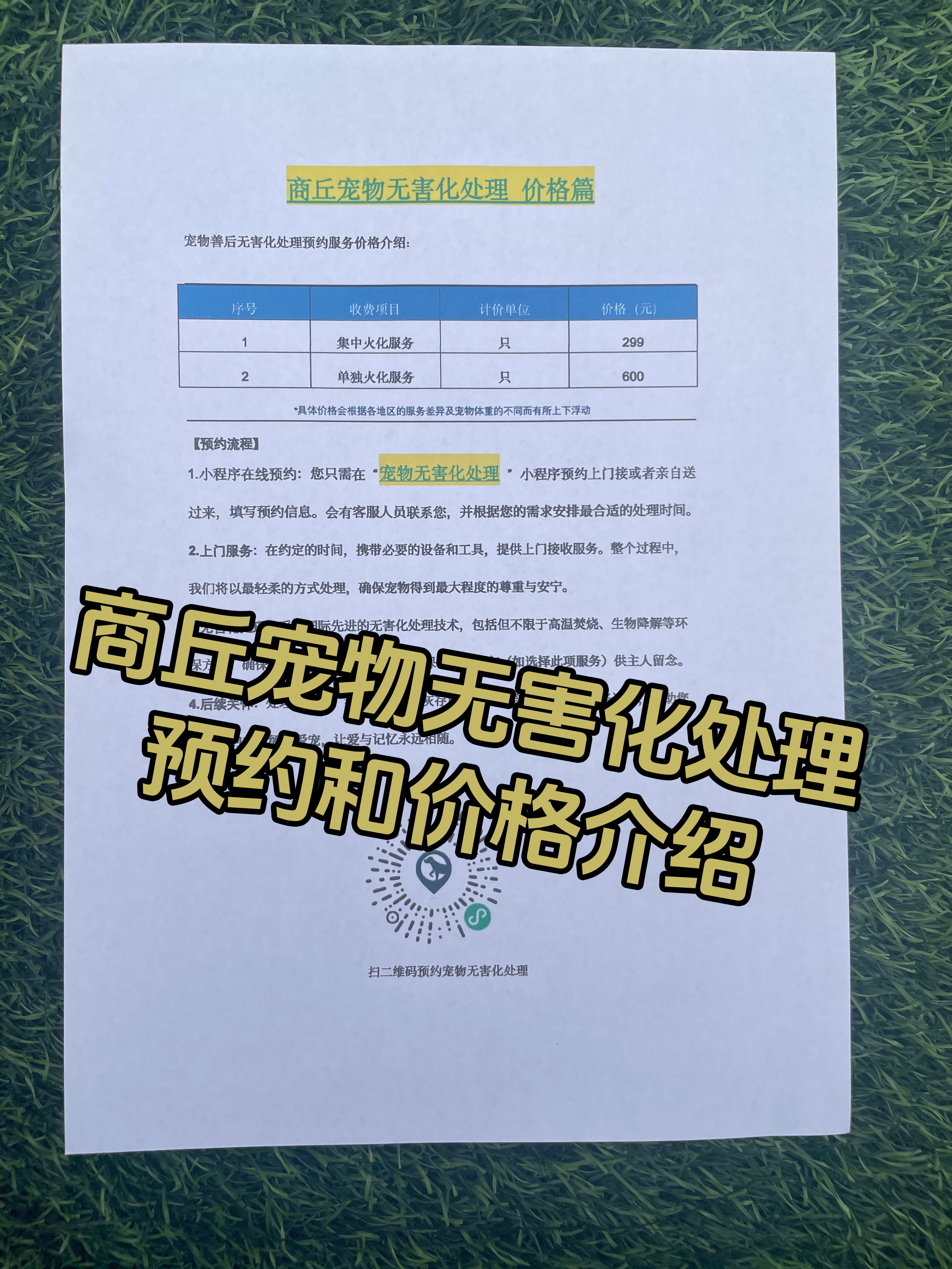 上犹宠物接运服务