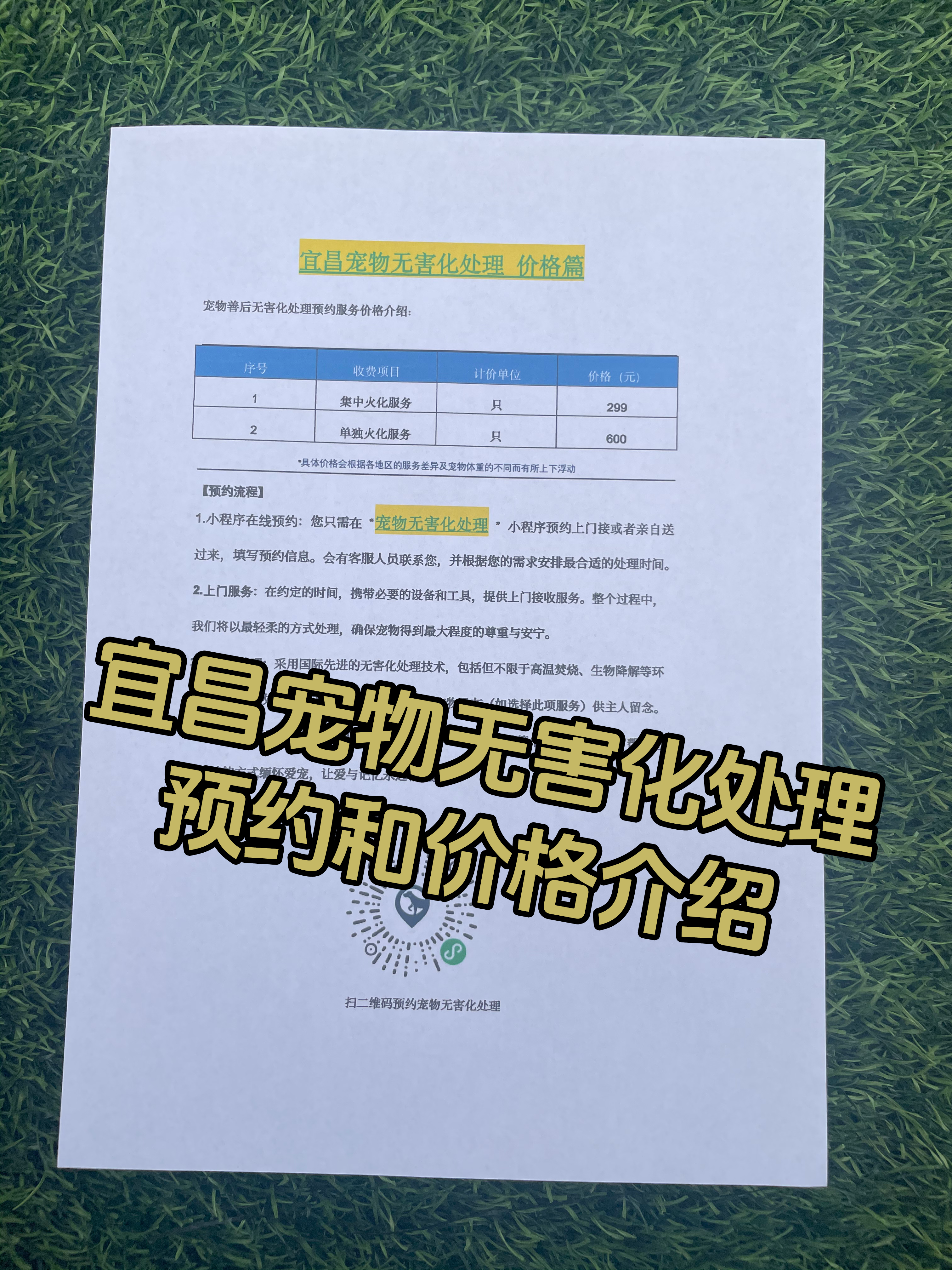 上犹宠物骨灰安置