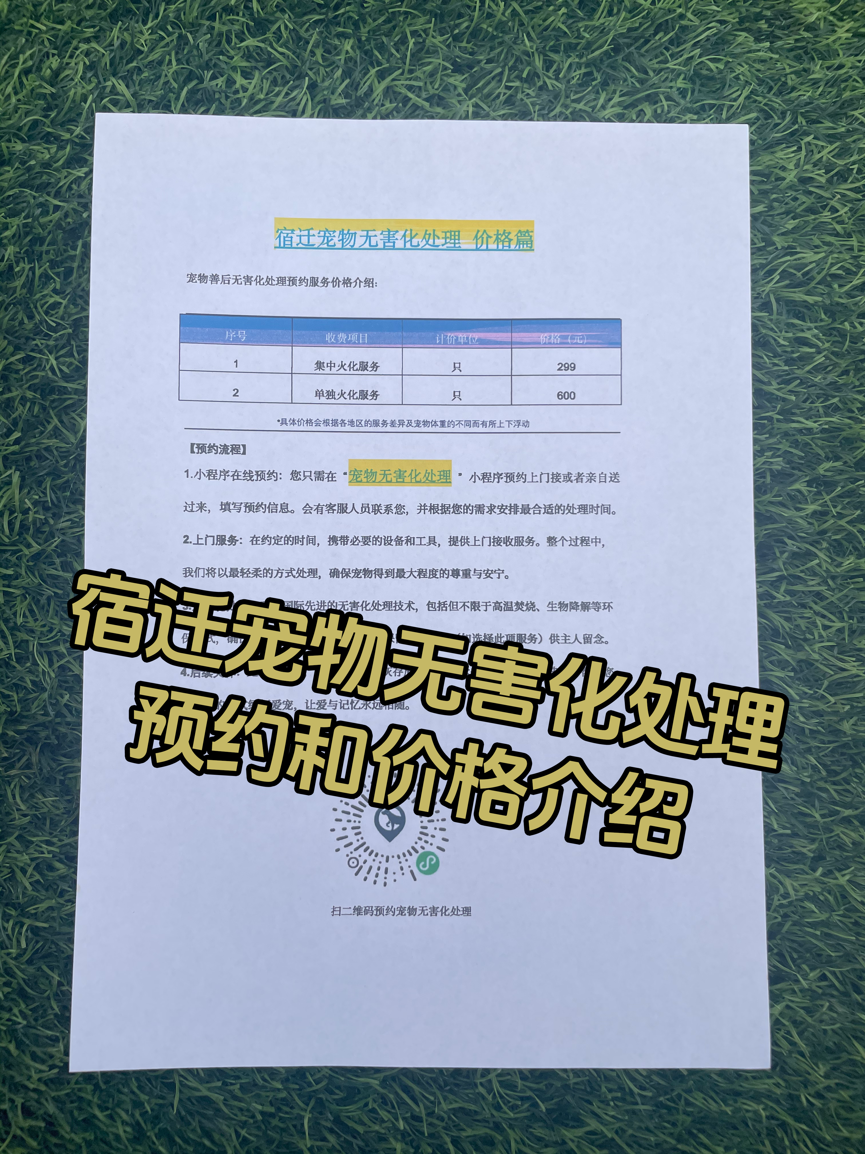 南京宠物无害化处理