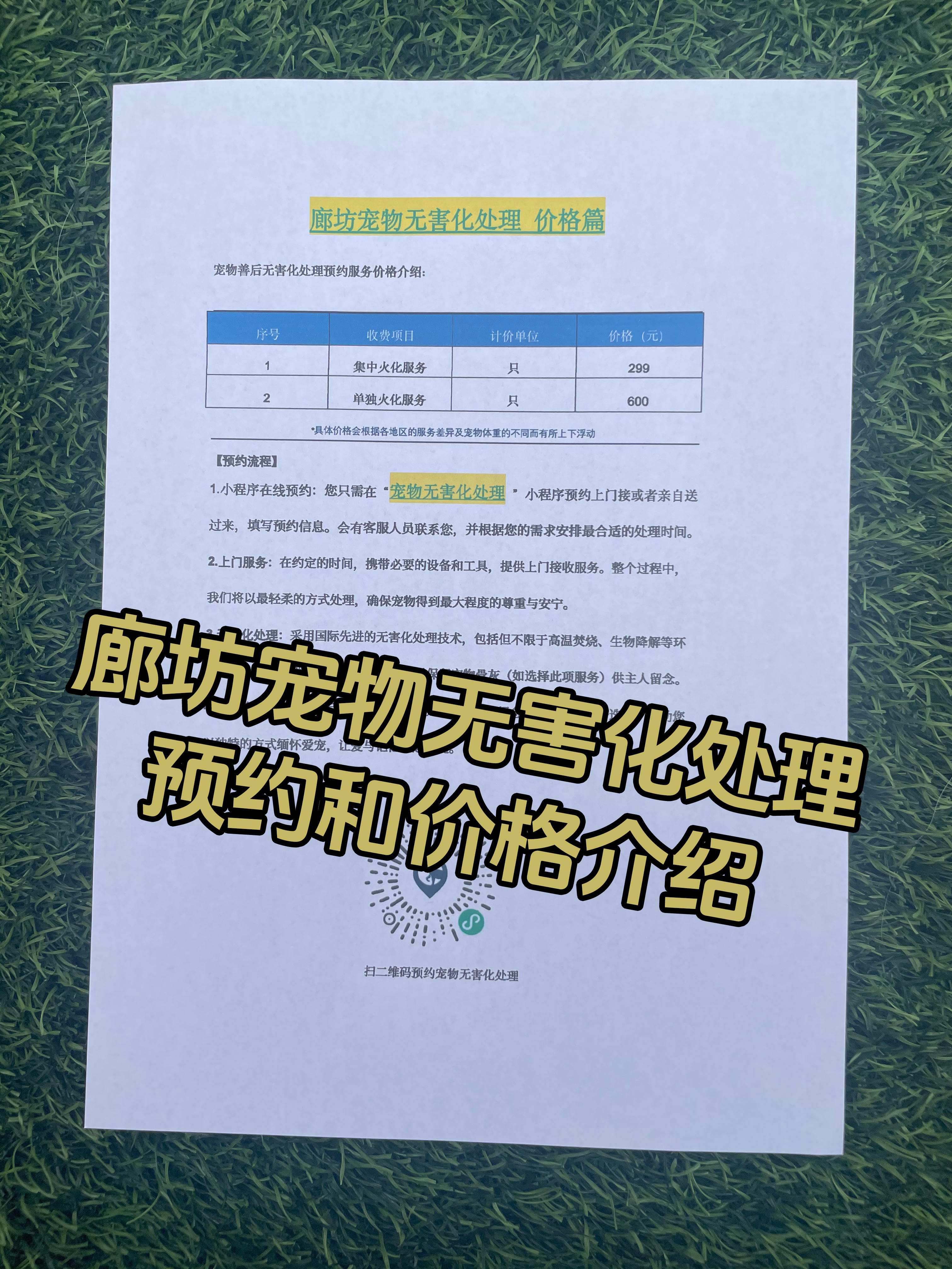 郴州宠物无害化处理