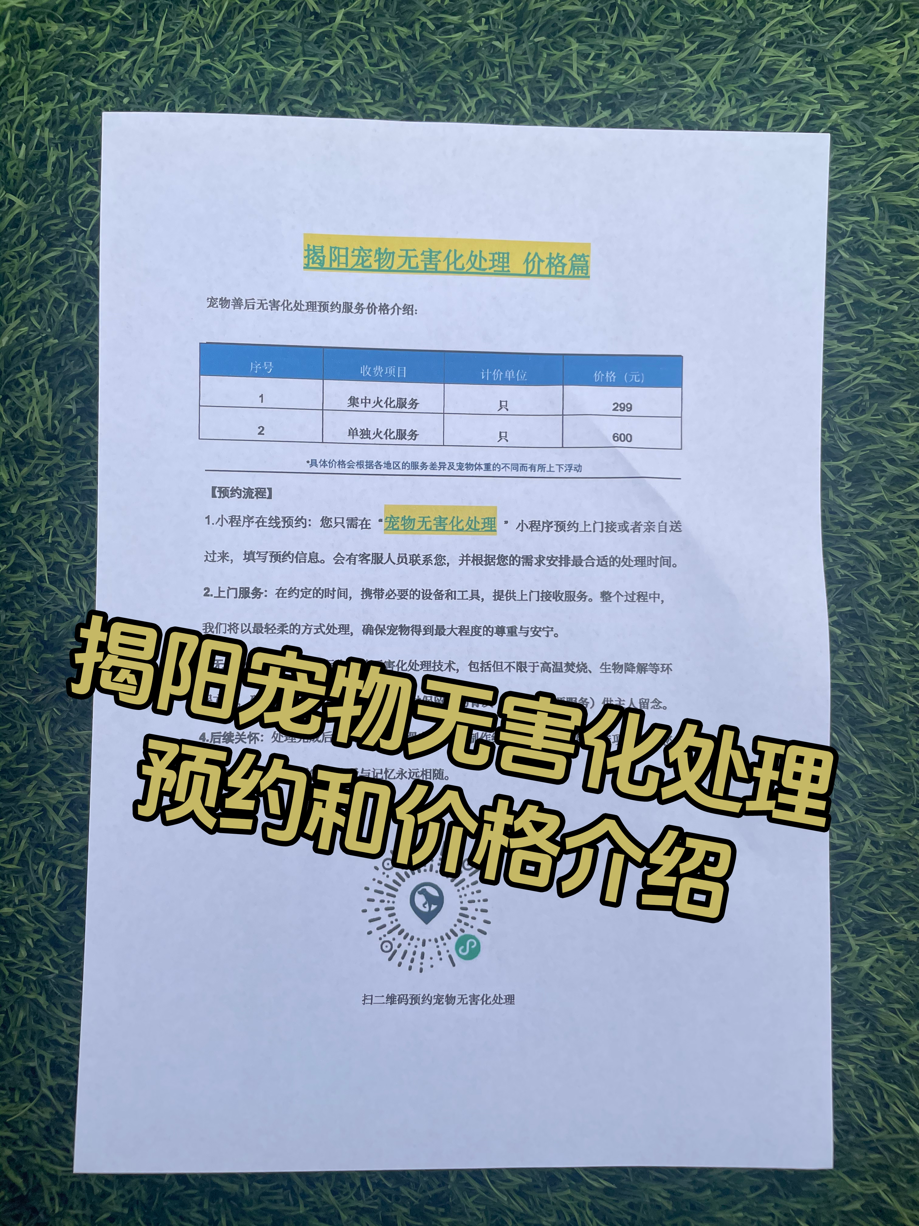 苏州宠物遗体规范处理