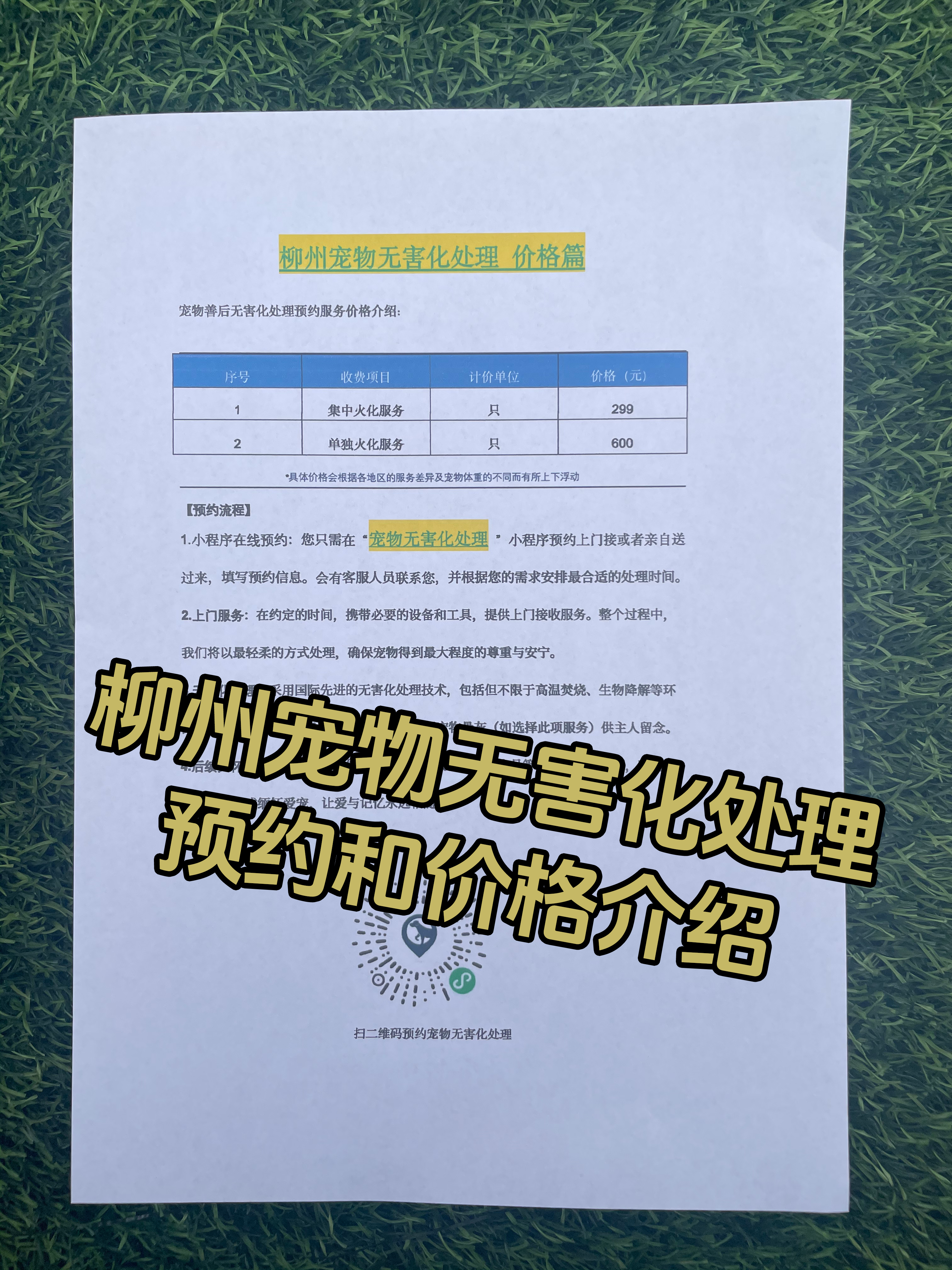 潮州宠物遗体规范处理