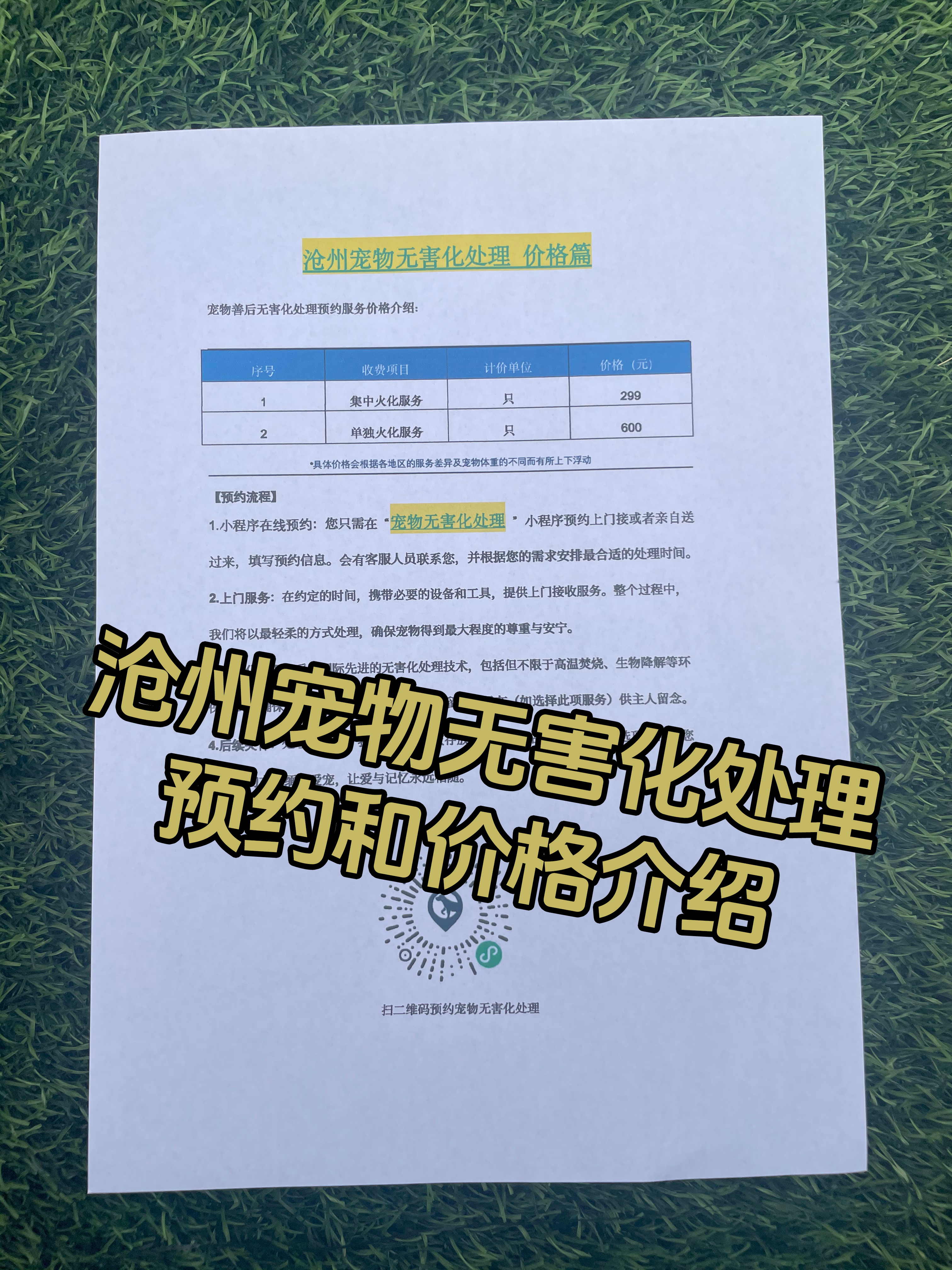 北京宠物无害化处理
