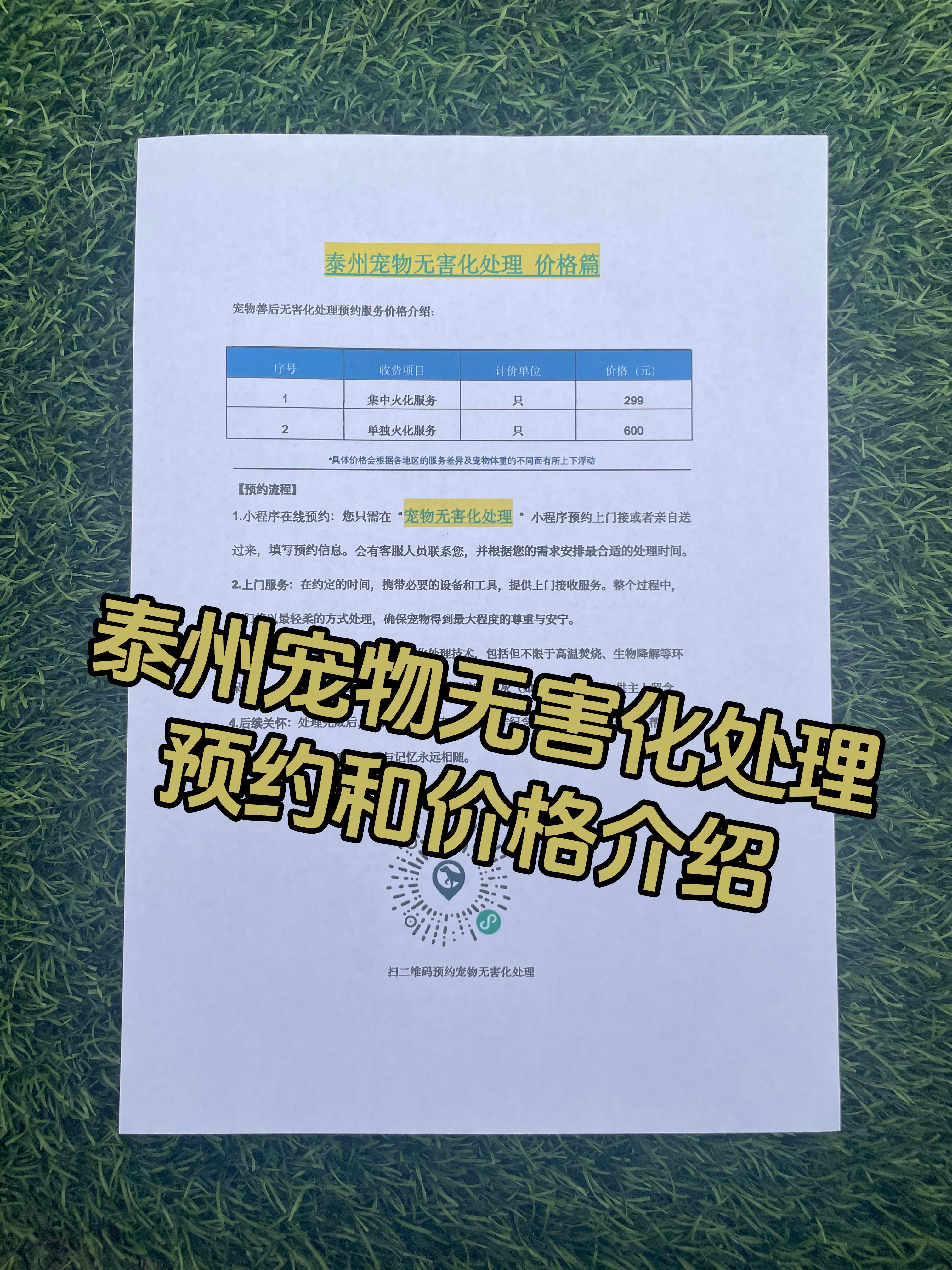 安远宠摆渡服务