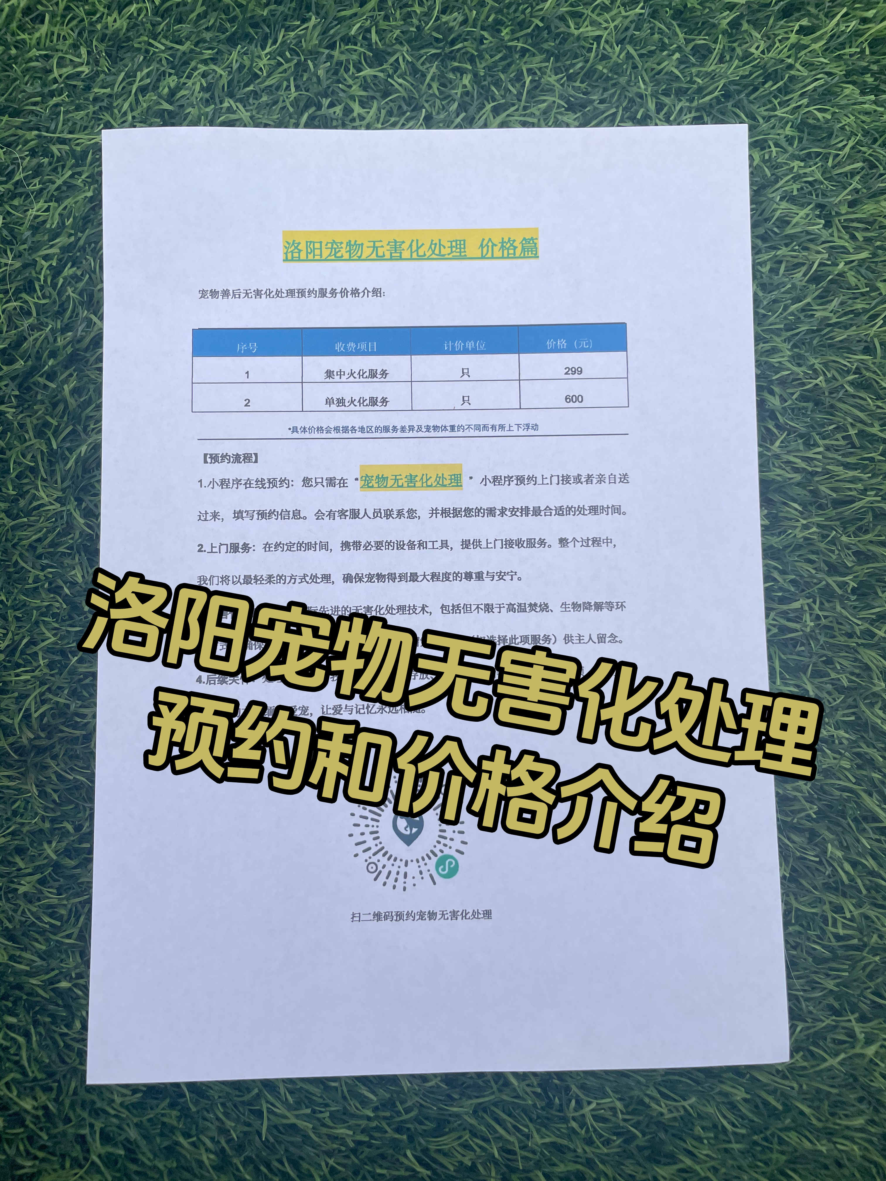 安远宠物告别
