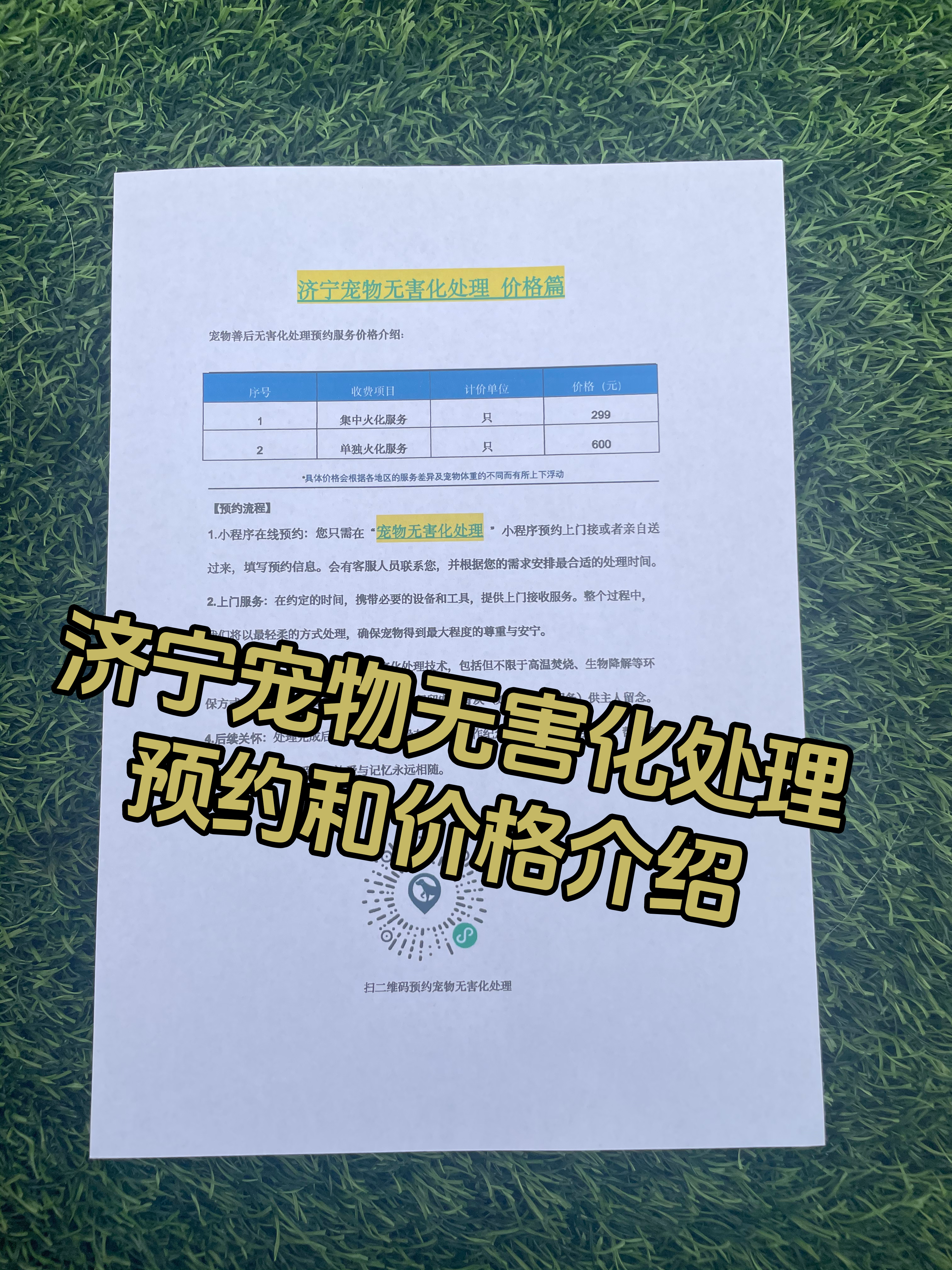 潮州宠物无害化处理