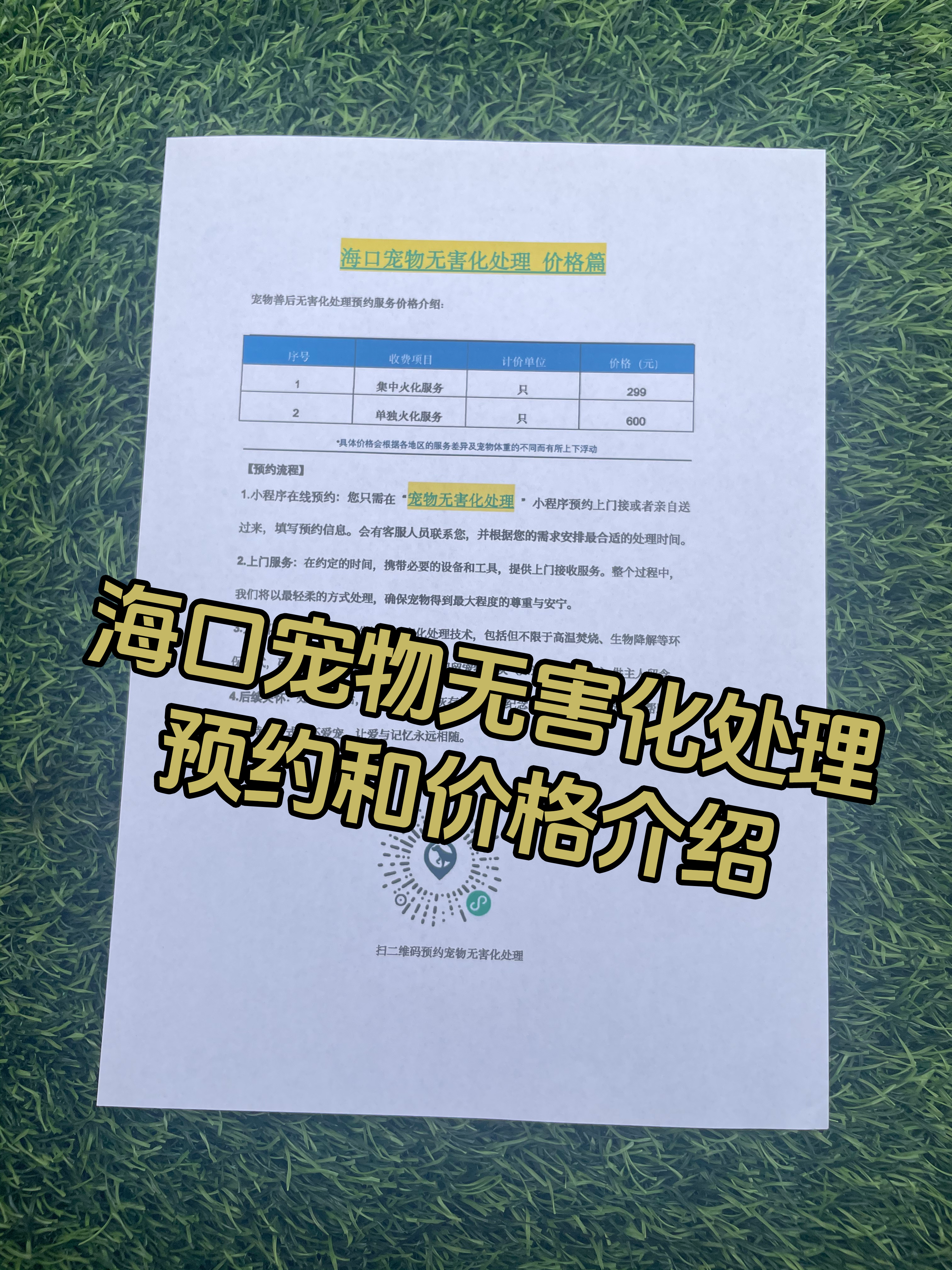 安远宠物接运服务