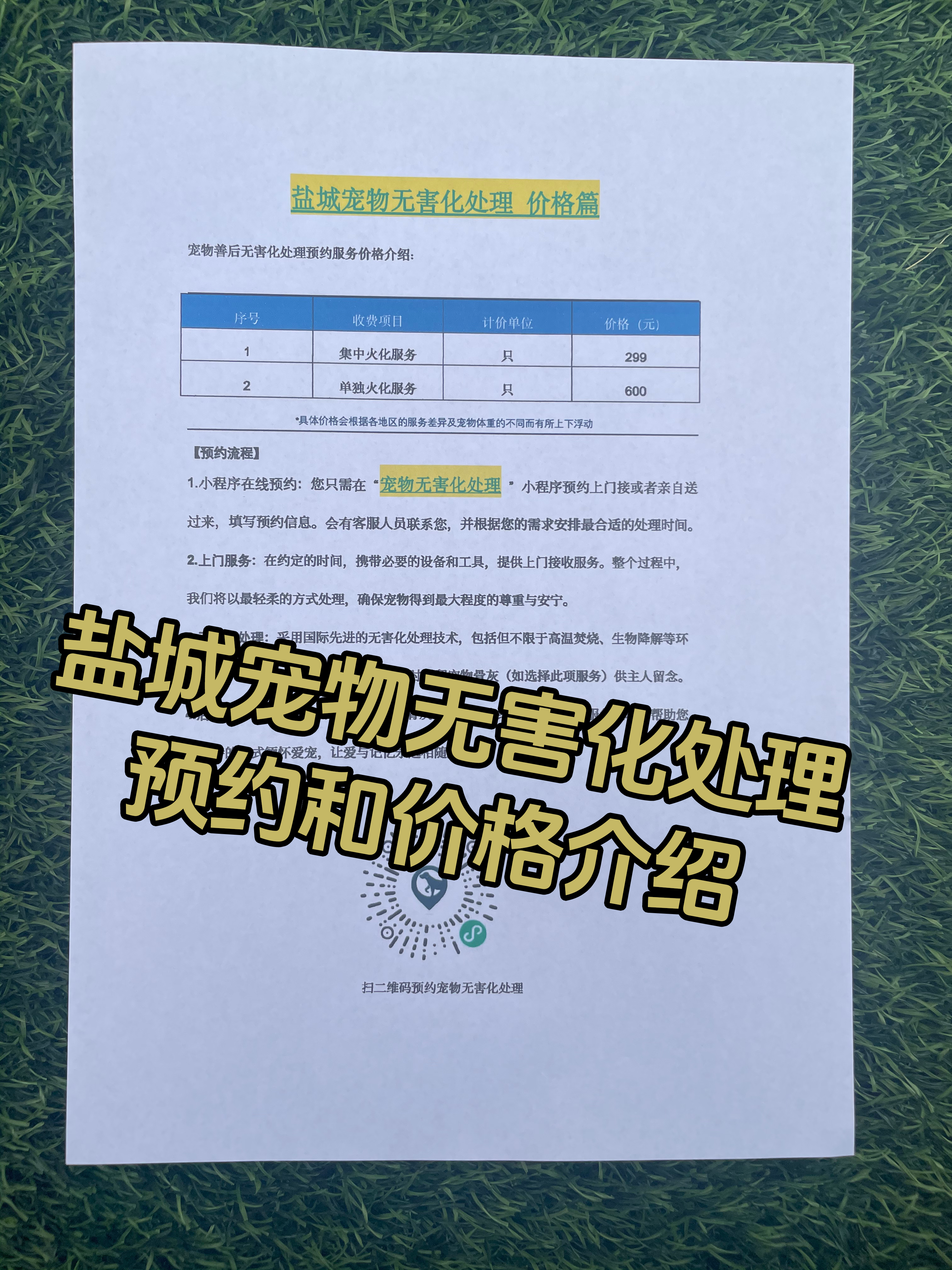 龙南宠物接运服务