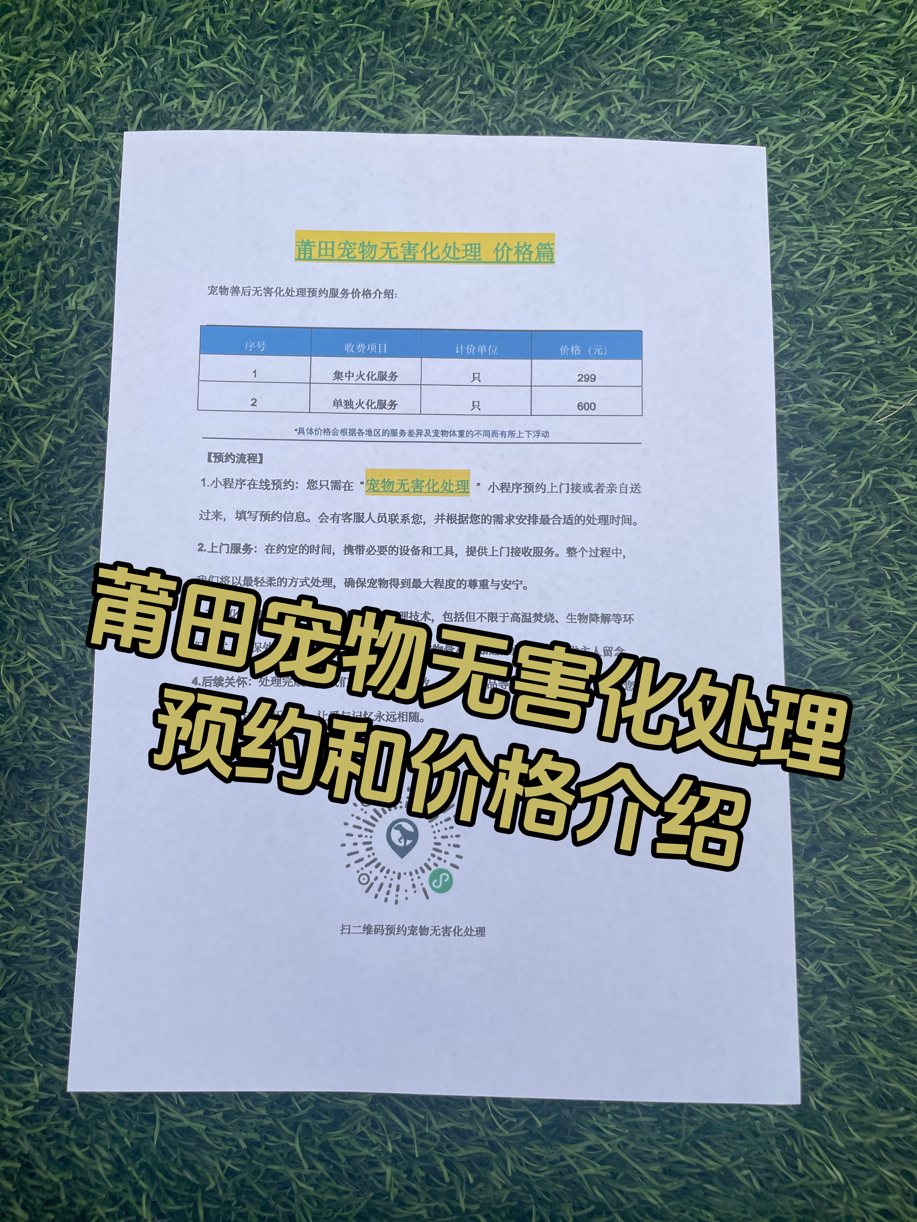 定南宠物无害化