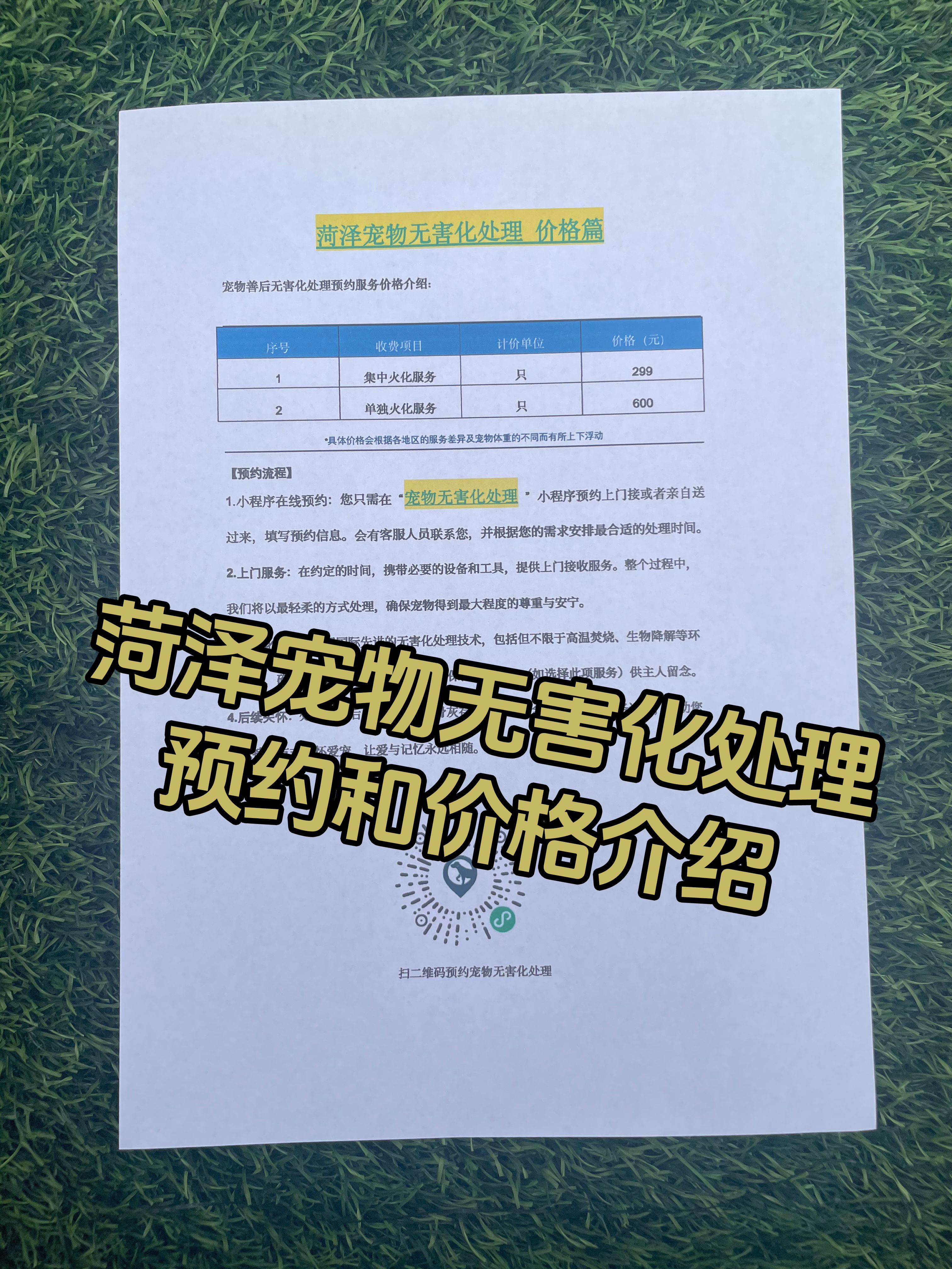 定南宠摆渡服务