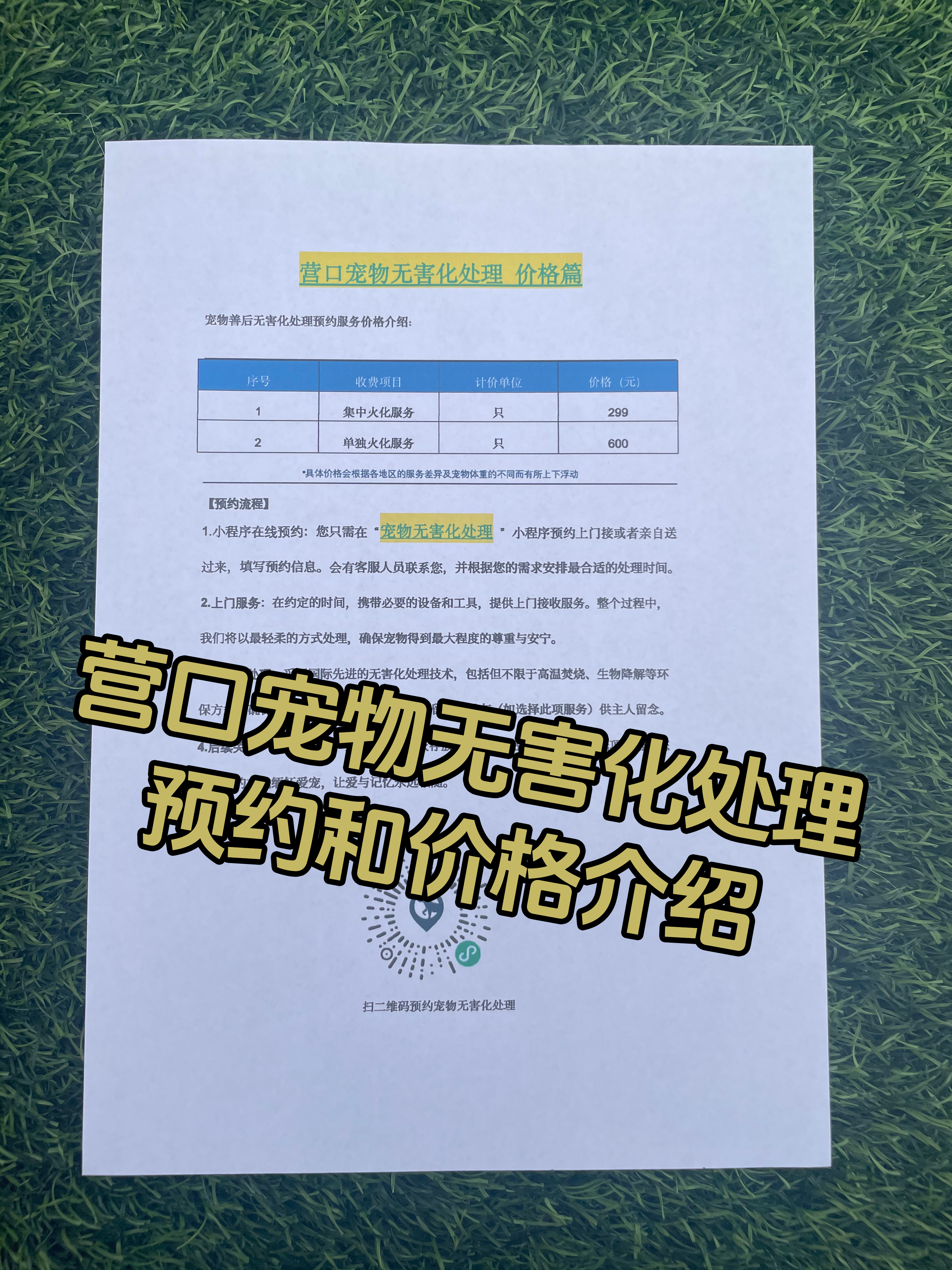 定南宠物告别